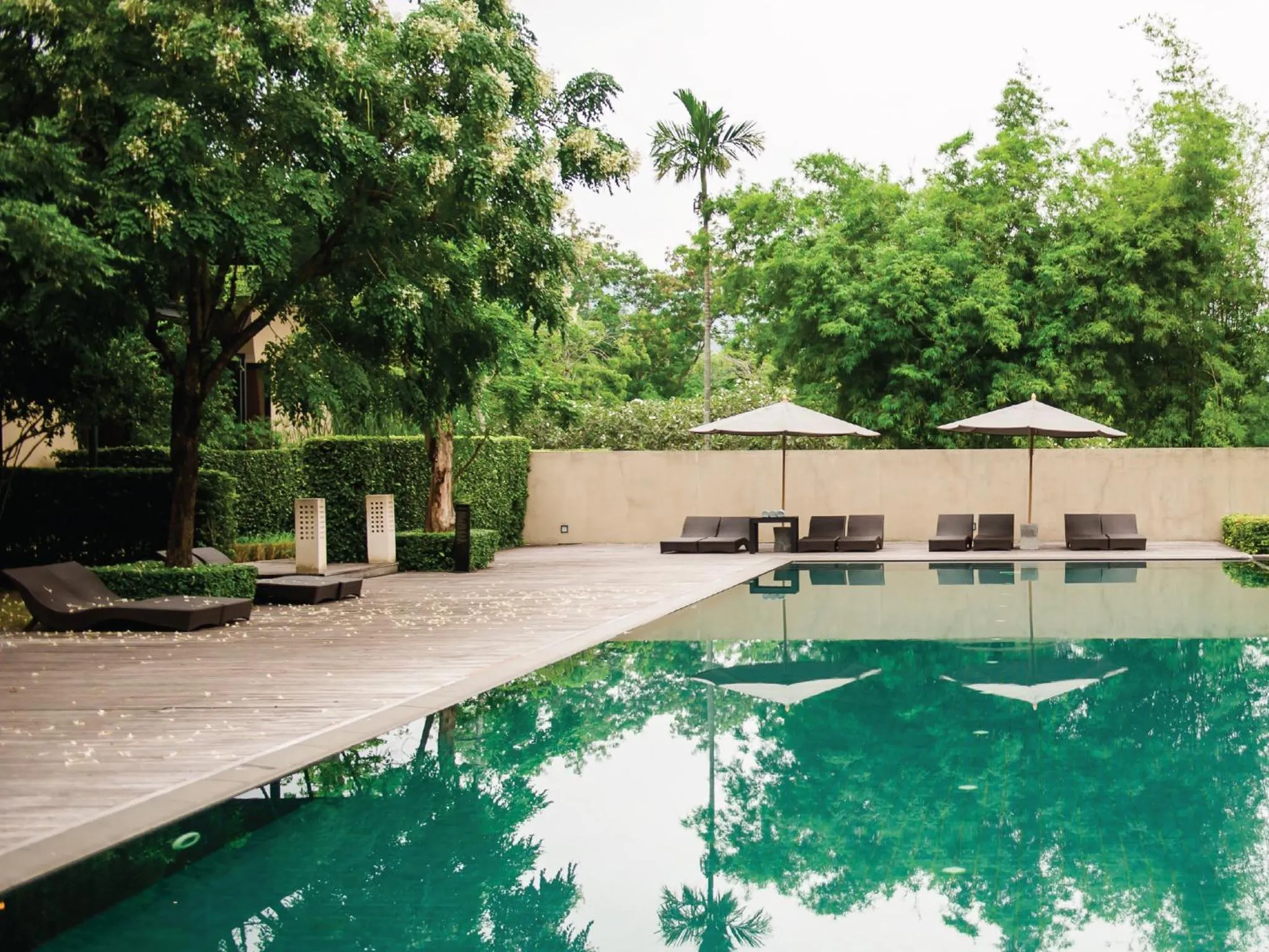 Natural landscape in MUTHI MAYA Forest Pool Villa Resort - SHA Plus Certified