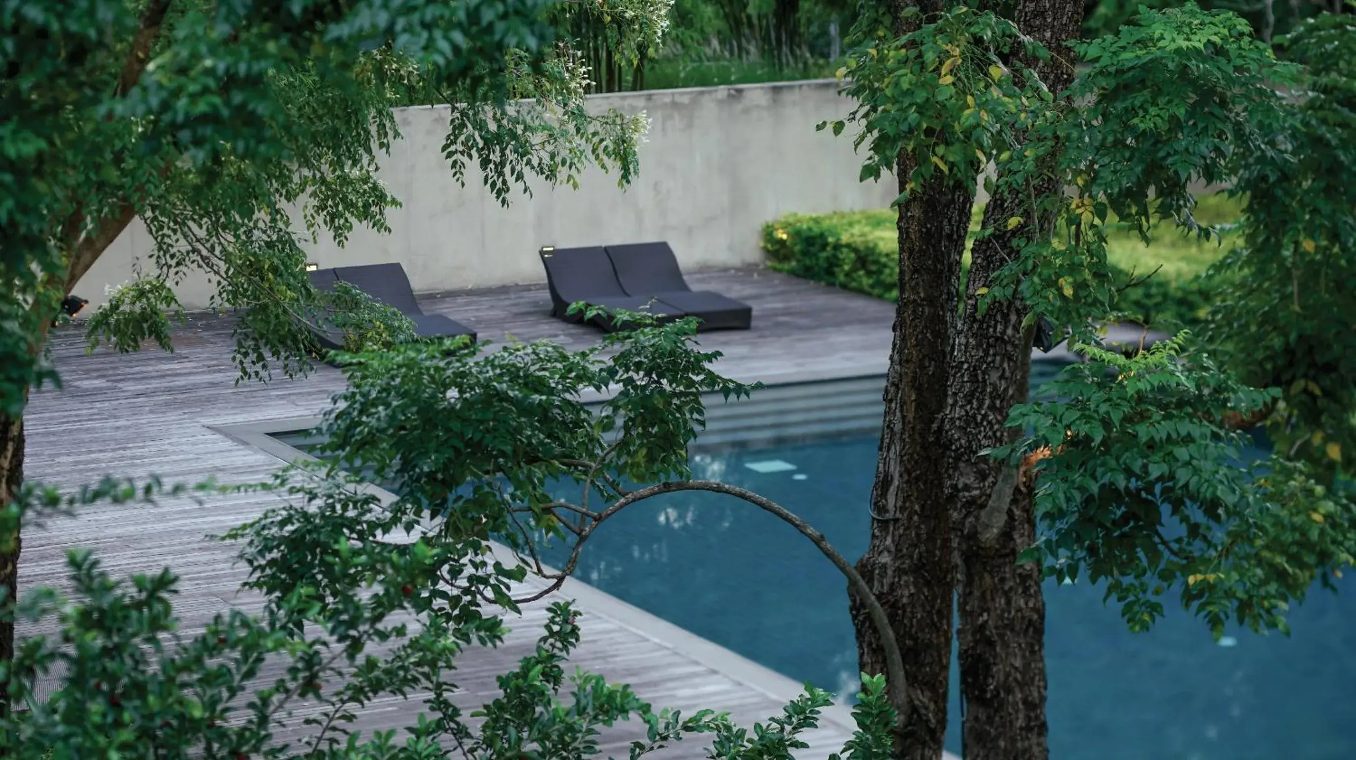 Pool view in MUTHI MAYA Forest Pool Villa Resort - SHA Plus Certified Pool view in MUTHI MAYA Forest Pool Villa Resort - SHA Plus Certified