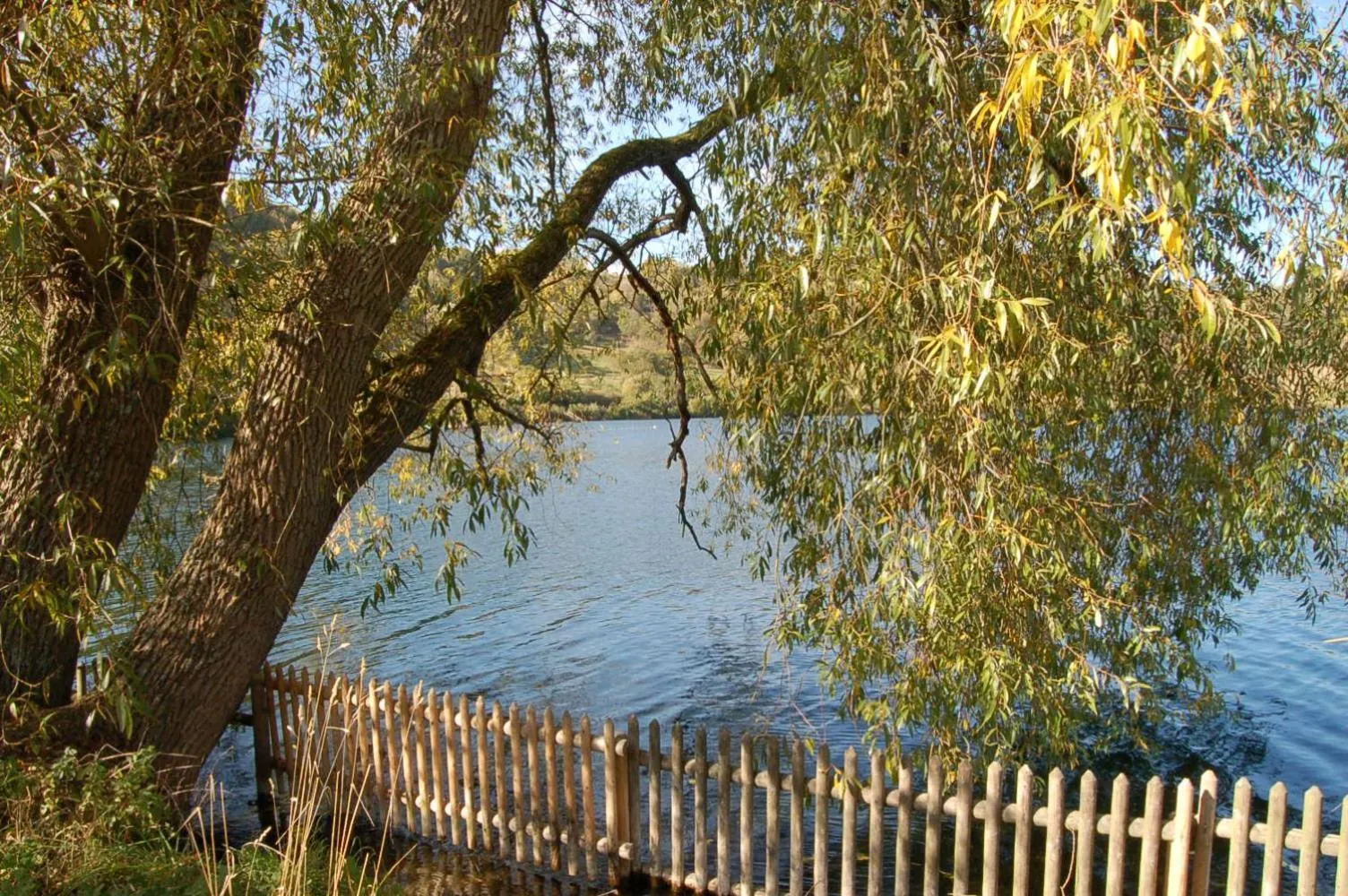 Lake view in Hotel-Ferienwohnungen Cafe Maarblick