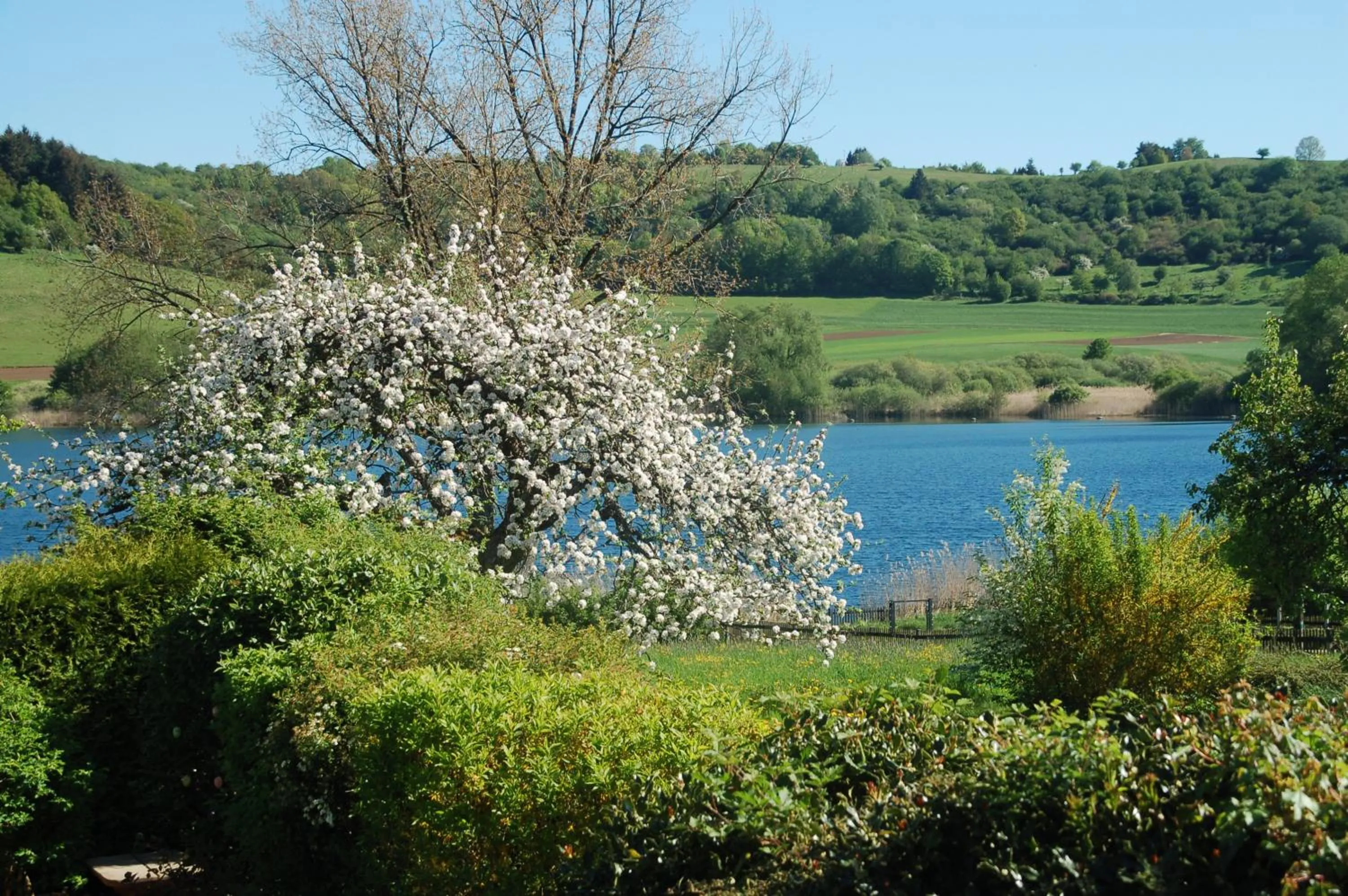 Lake view in Hotel-Ferienwohnungen Cafe Maarblick