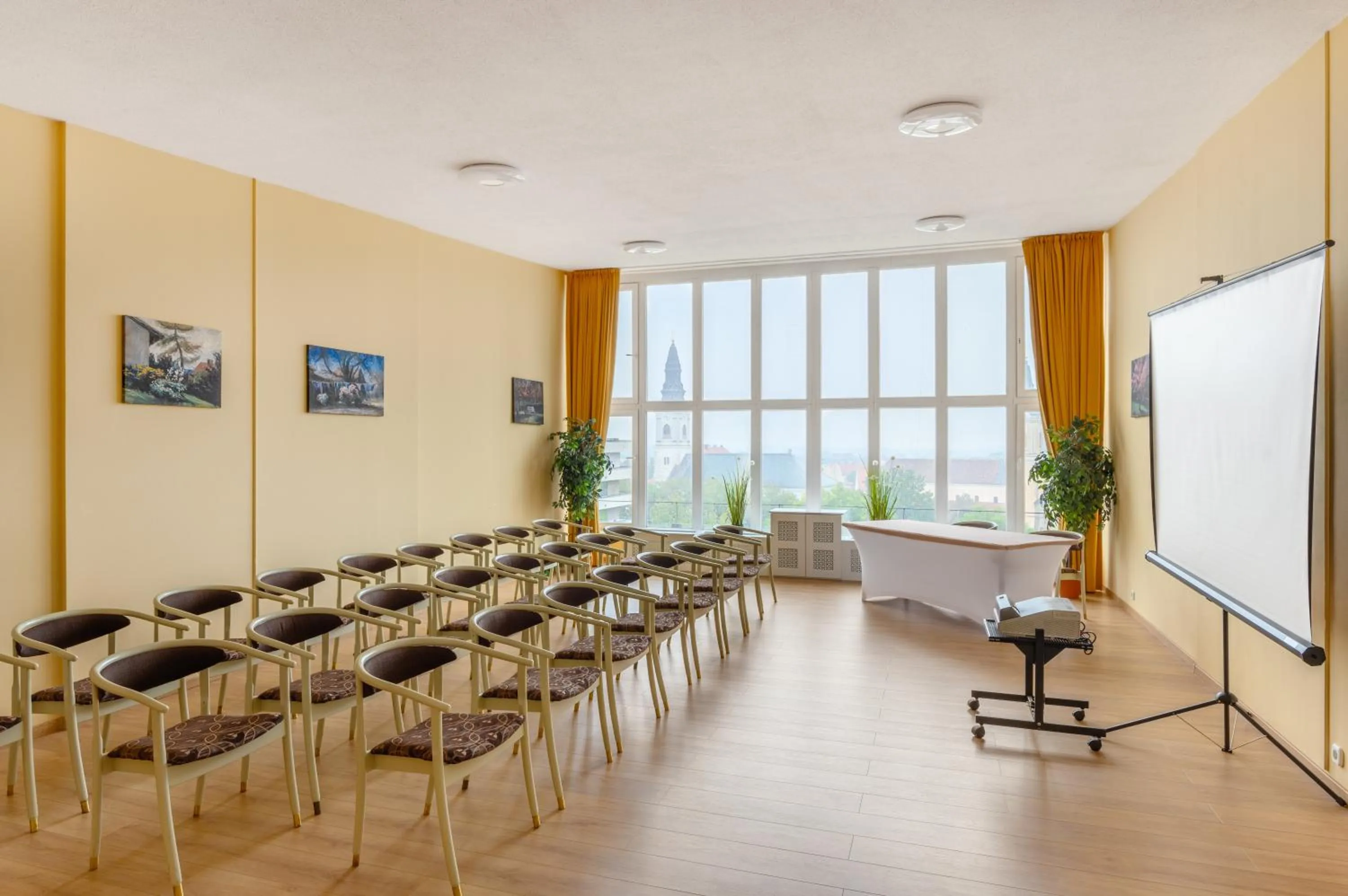Meeting/conference room in Aranyhomok Hotel Business & Relax