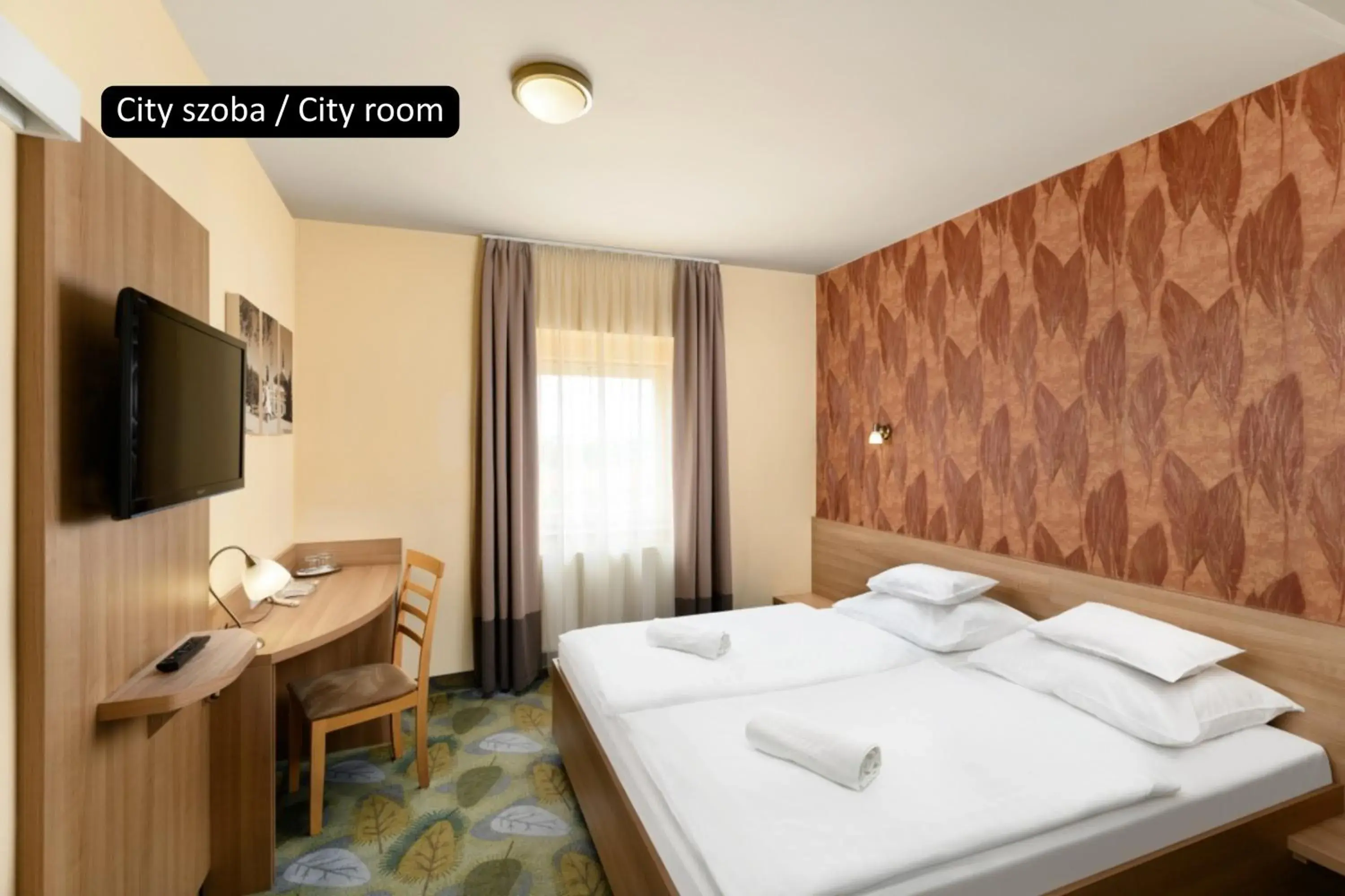 City Room - single occupancy in Aranyhomok Business-City-Wellness Hotel City Room - single occupancy in Aranyhomok Business-City-Wellness Hotel