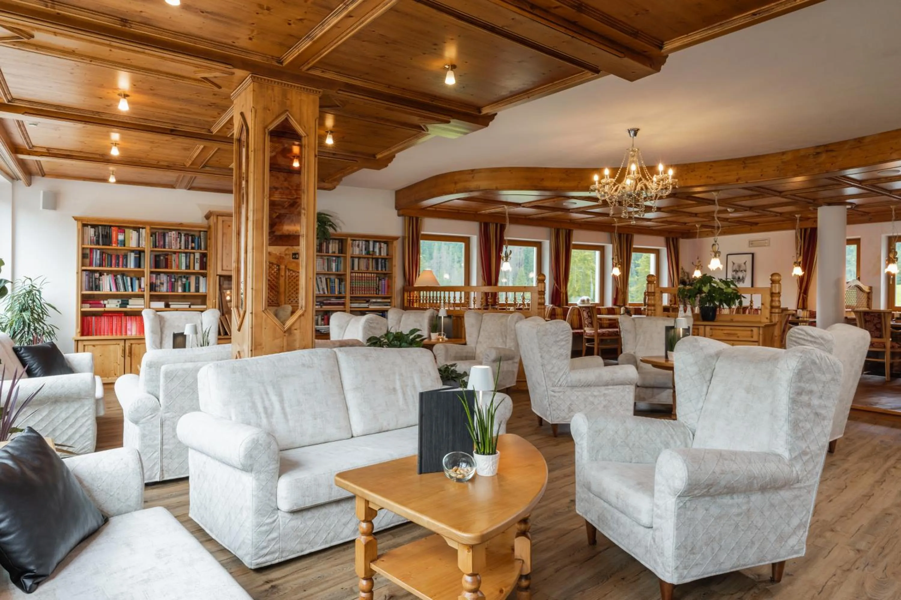 Library in Hotel Asterbel