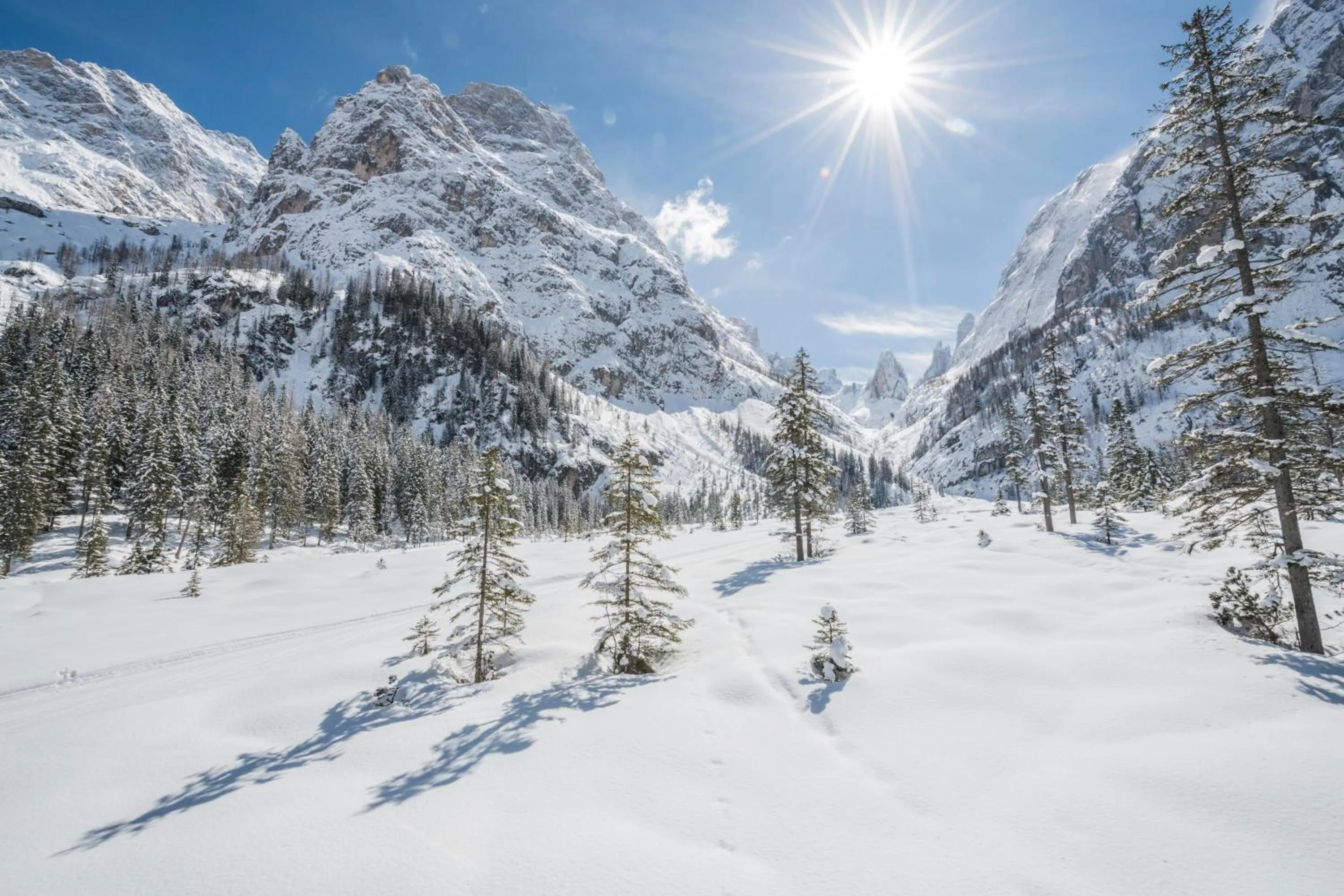Natural landscape in Hotel Asterbel