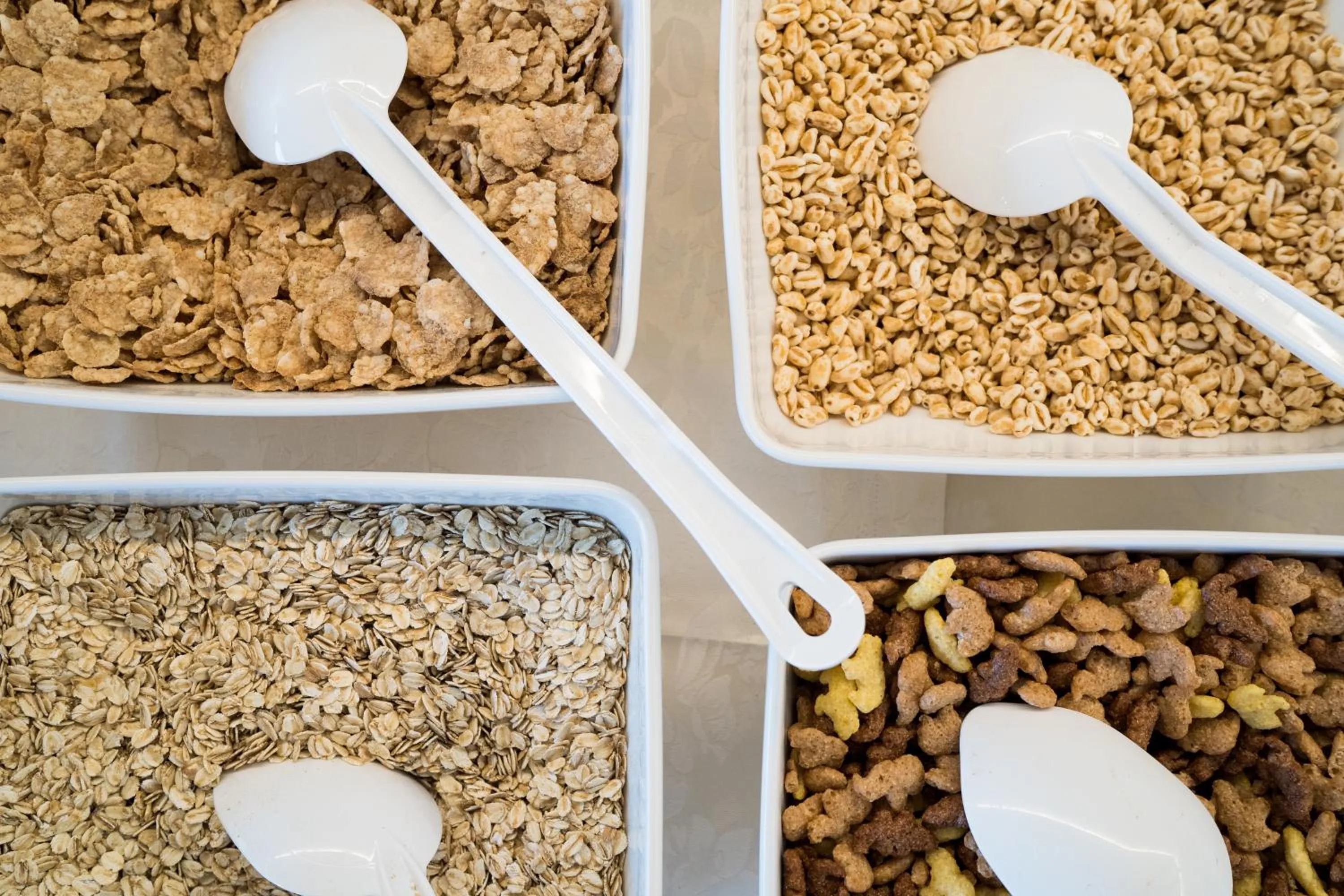 Food and drinks in Hotel Asterbel