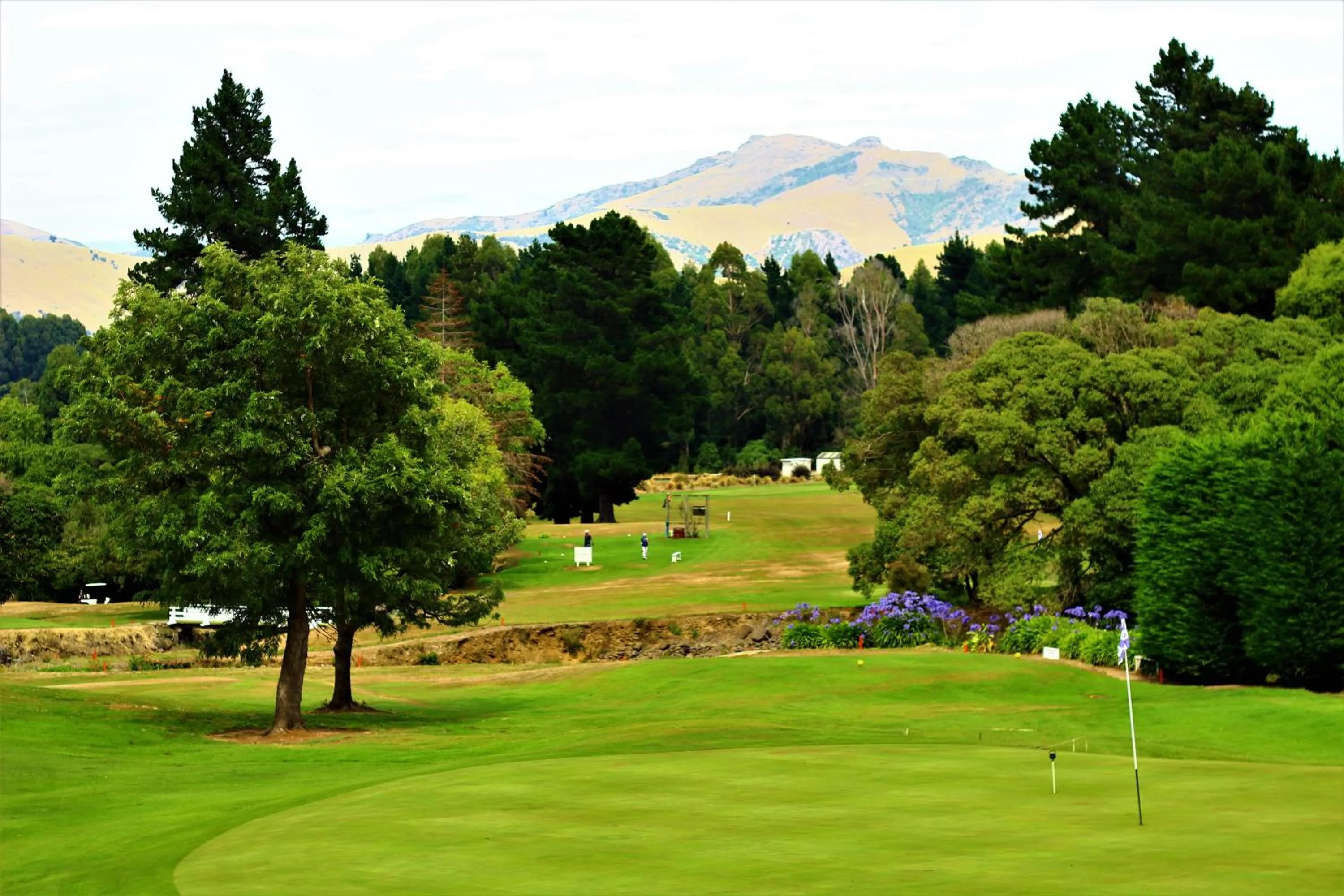 Duvauchelle Seaside Motel