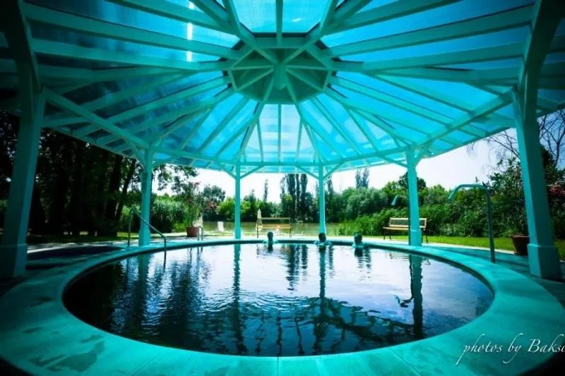 Hot Spring Bath in Liget Wellness és Konferencia Hotel