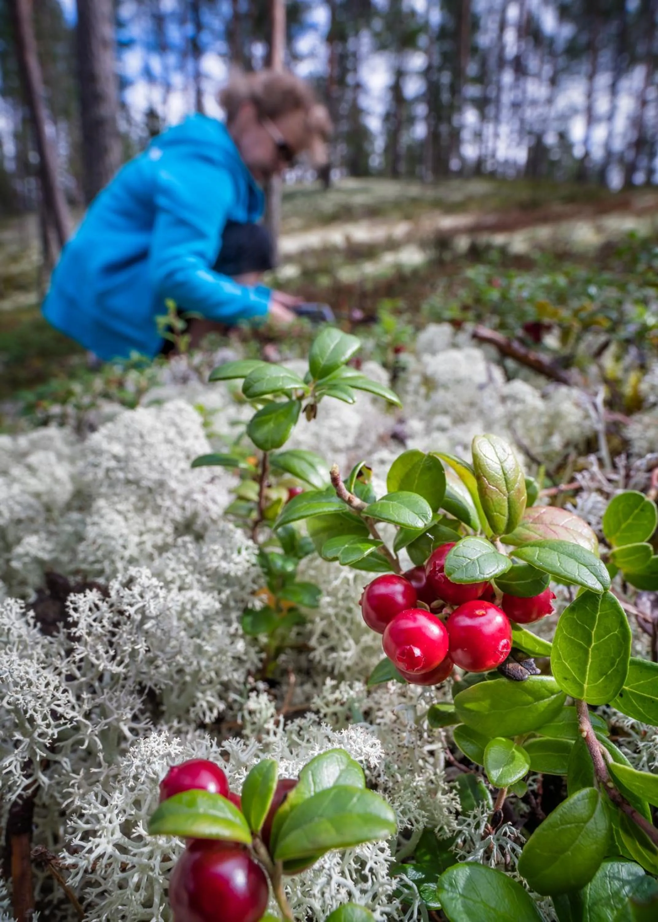 Autumn in Rokua Health & Spa