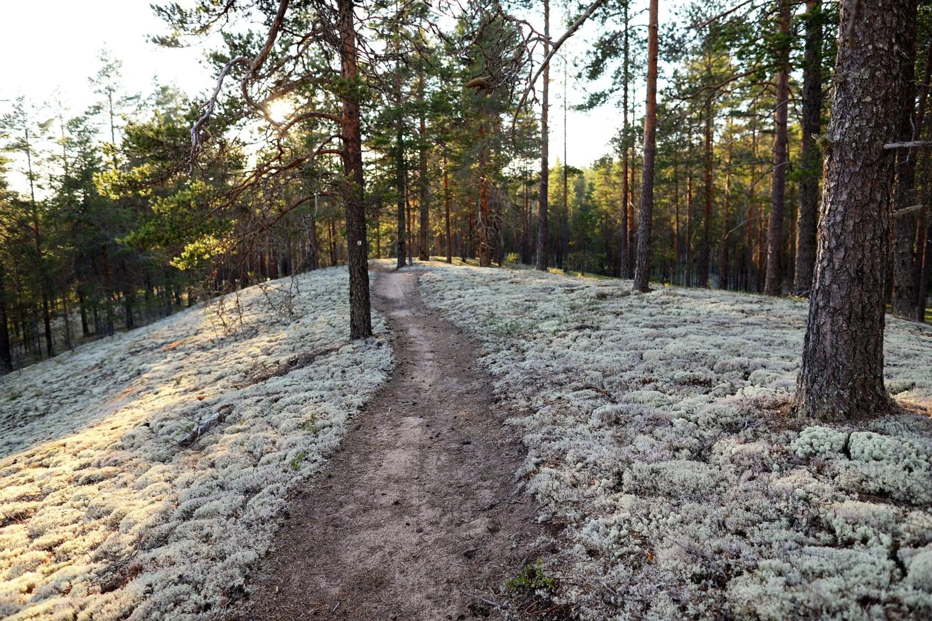 Natural landscape in Rokua Health & Spa