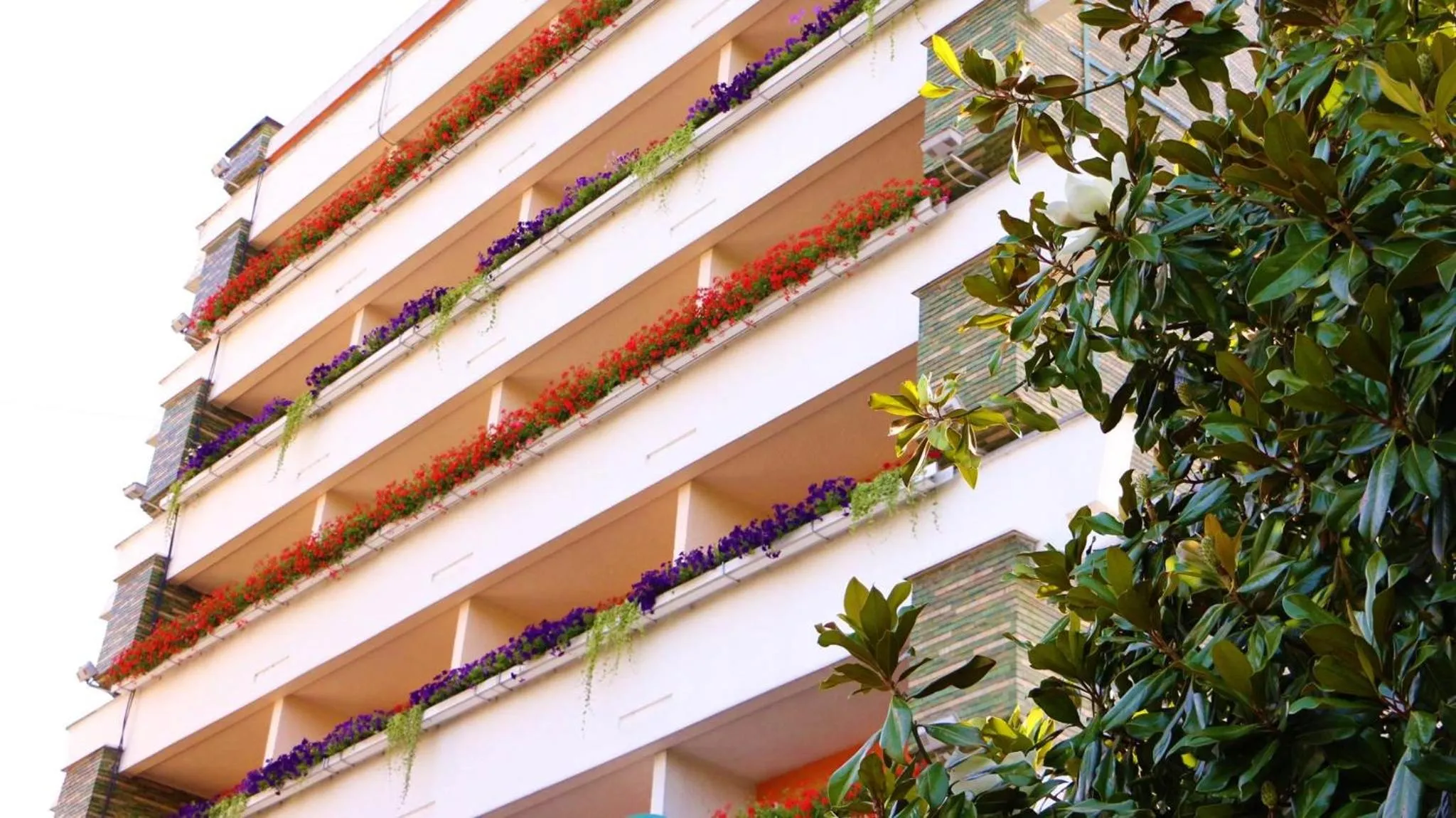 Balcony/Terrace in Hotel Carpati