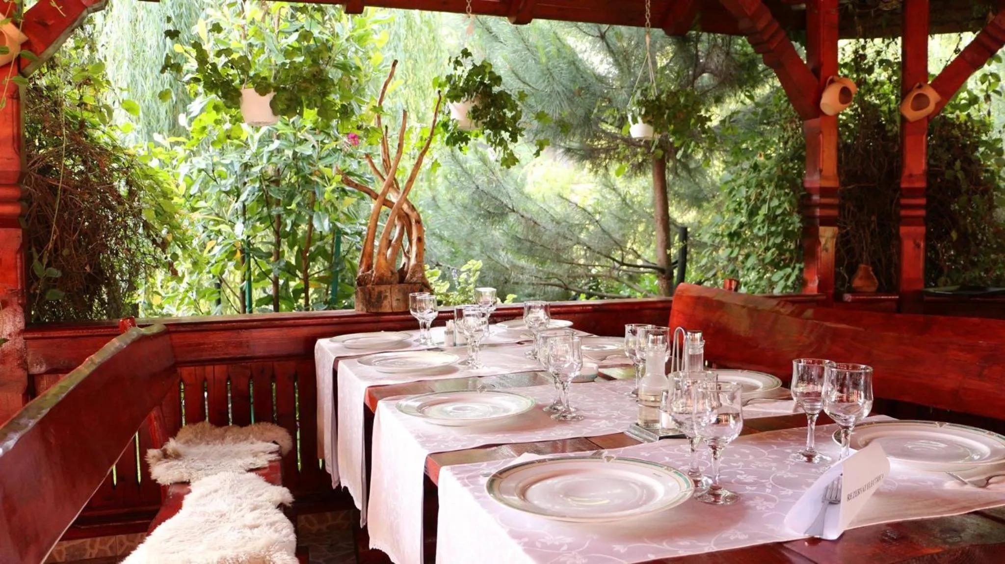 Balcony/Terrace in Hotel Carpati