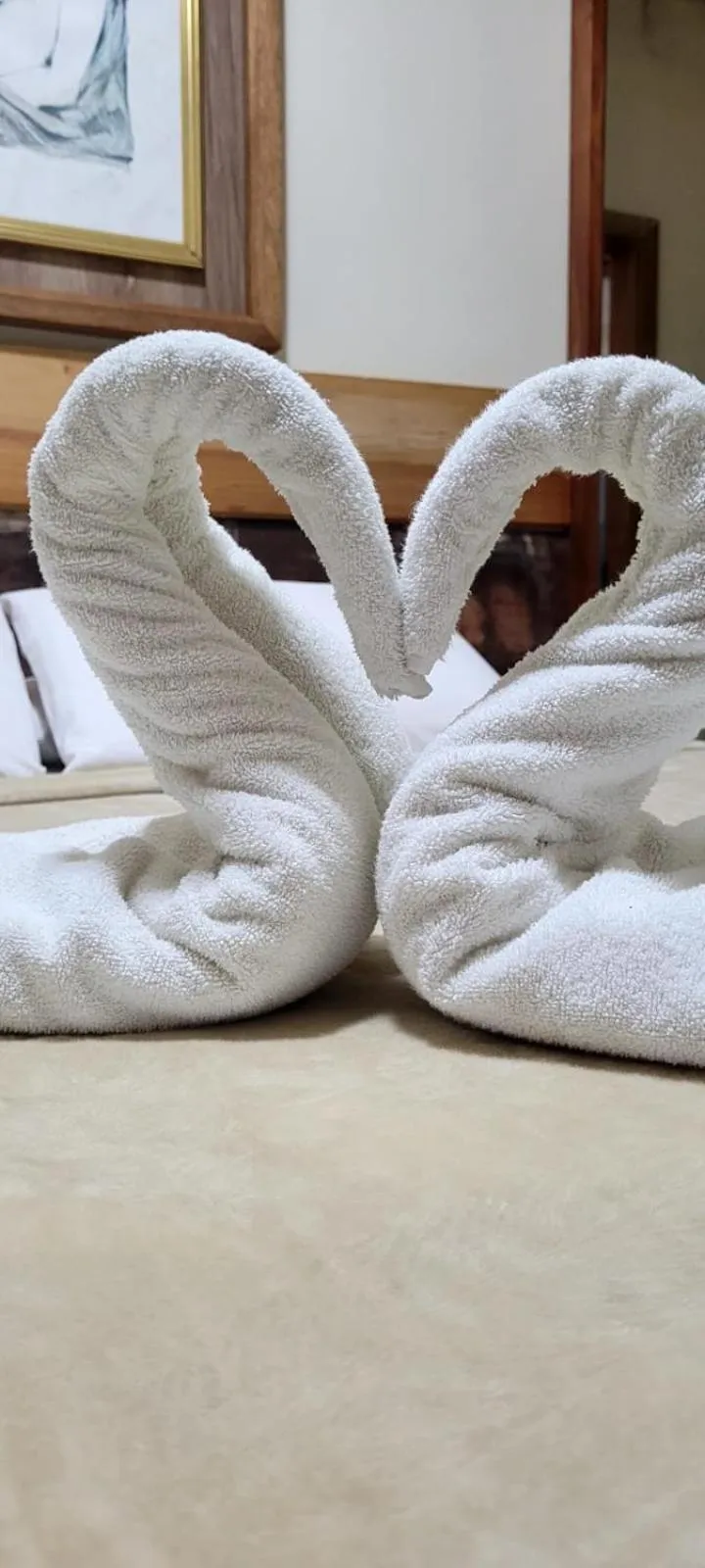 towels, Bed in Pousada Sonho Meu Foz