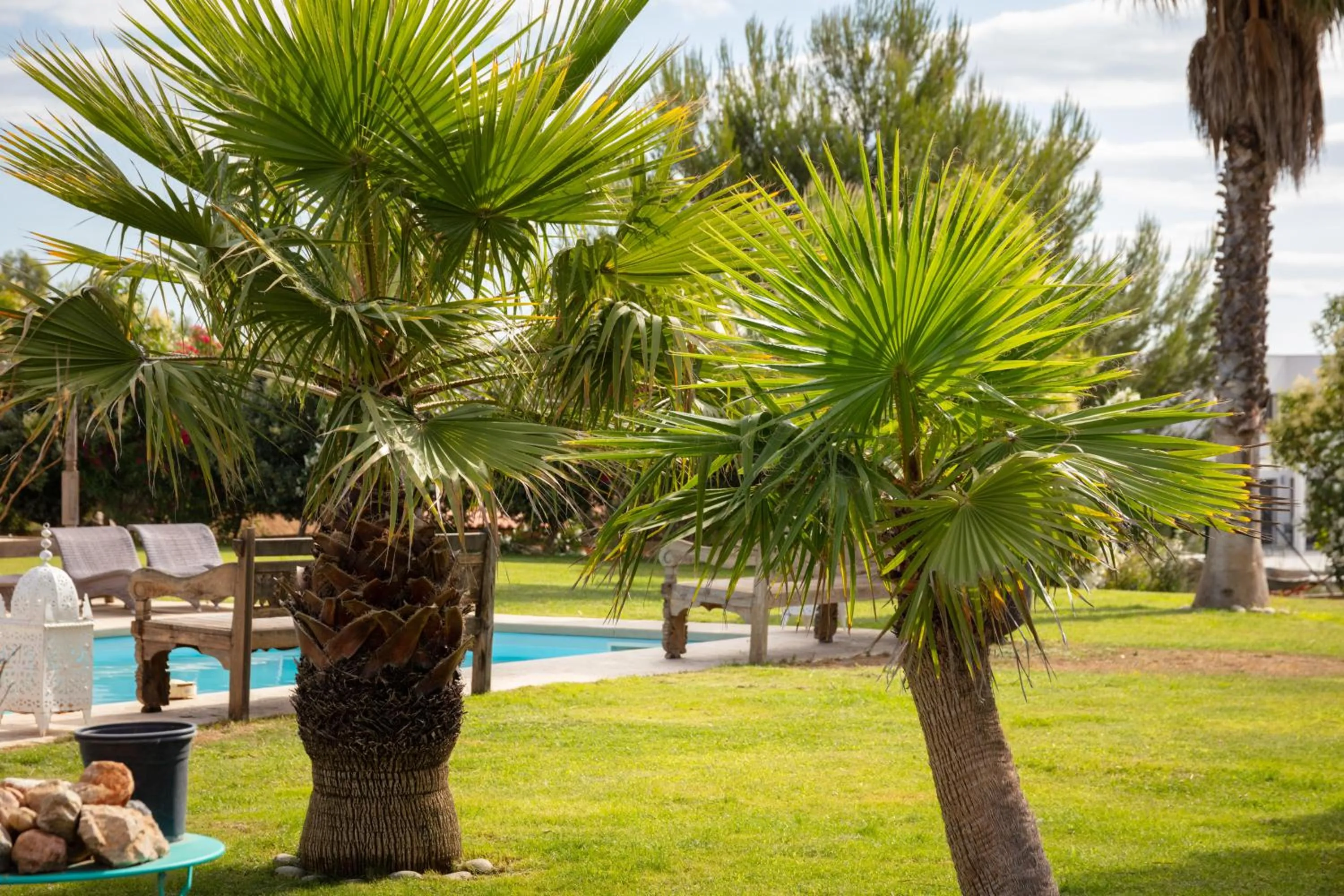 Escapades Lointaines