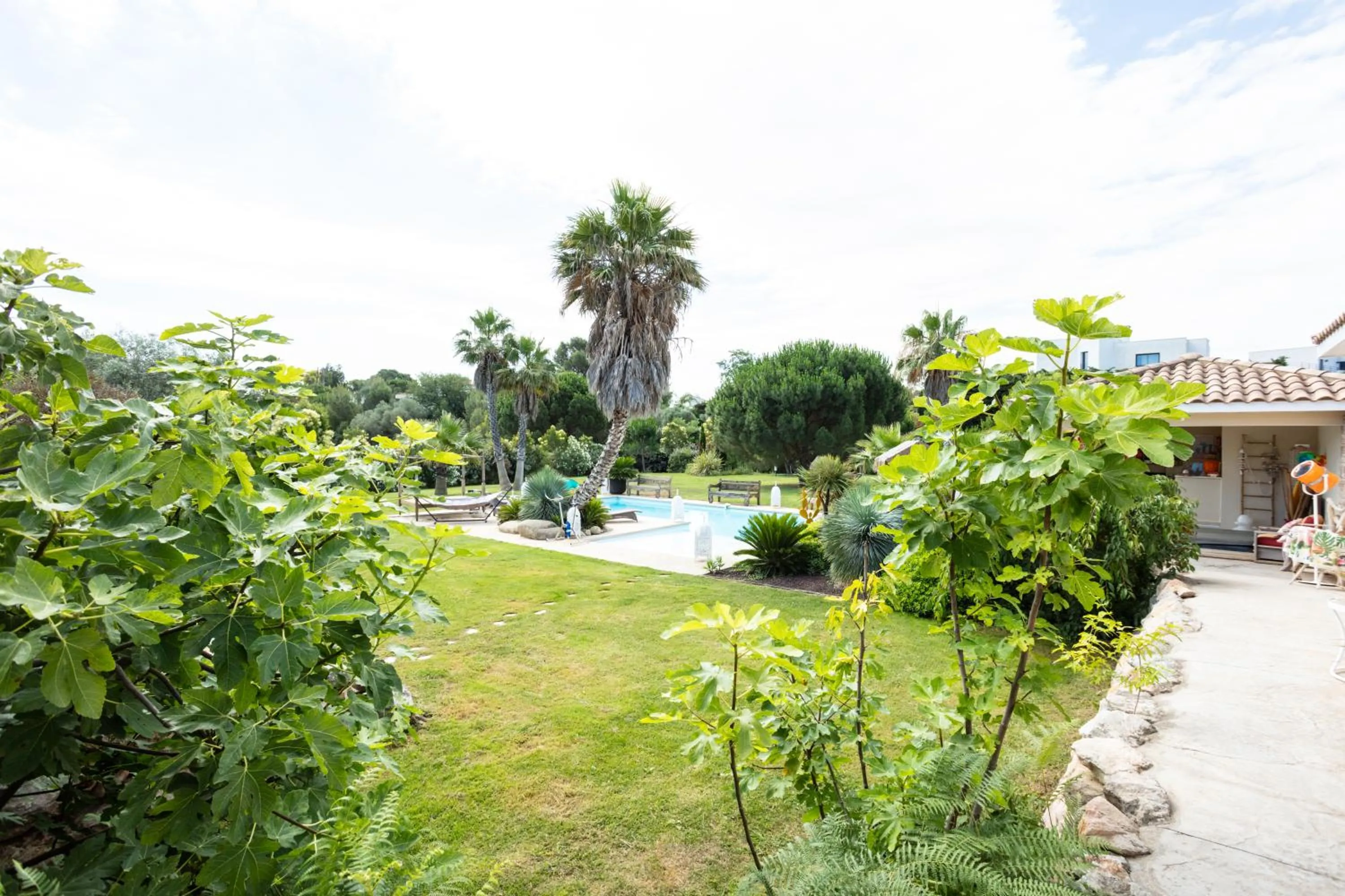 Escapades Lointaines