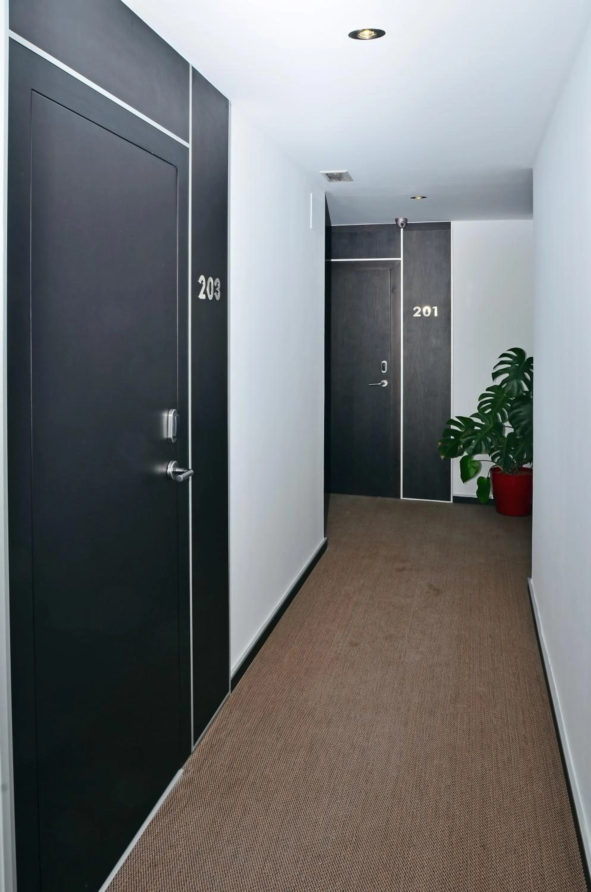 Lobby or reception in Hotel Campito