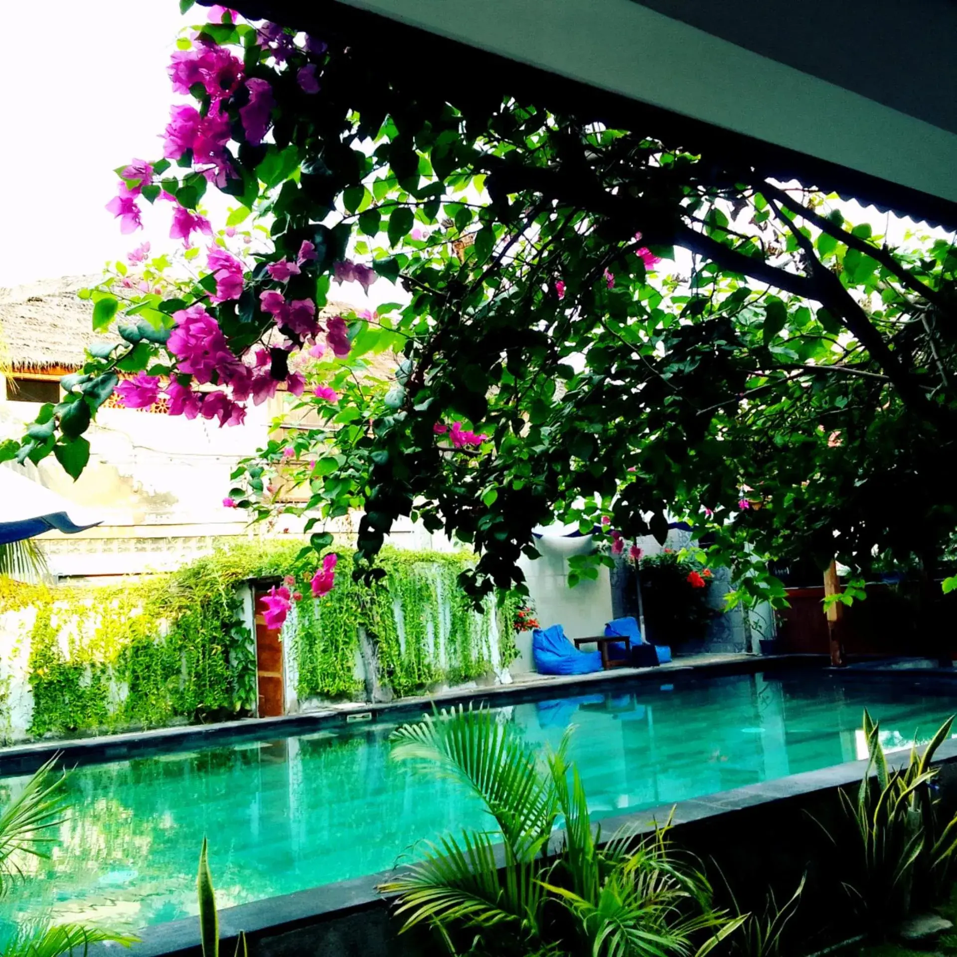Talent Sunset Villa Talent Sunset Villa