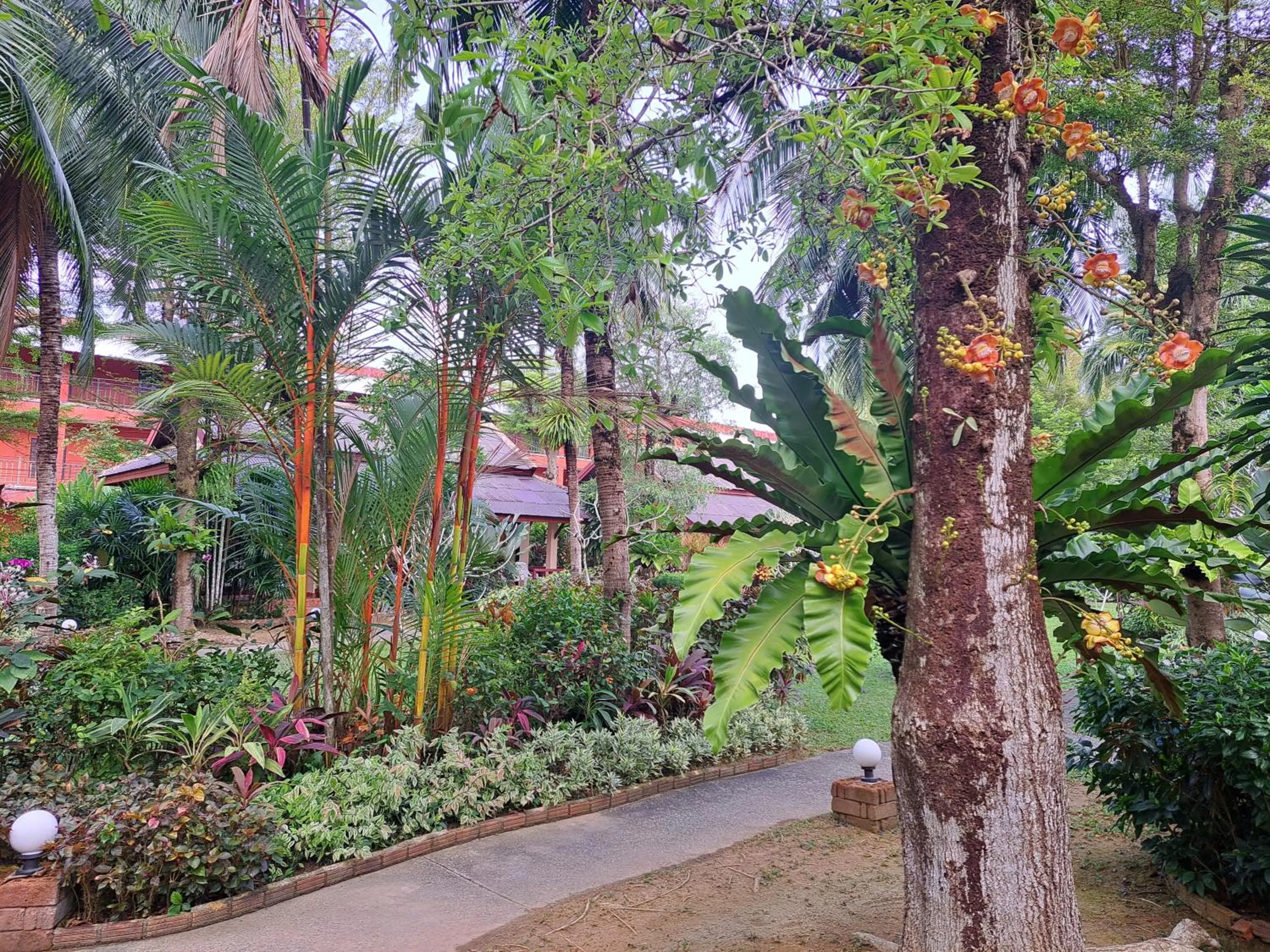 Jasmin Resort - SHA Plus