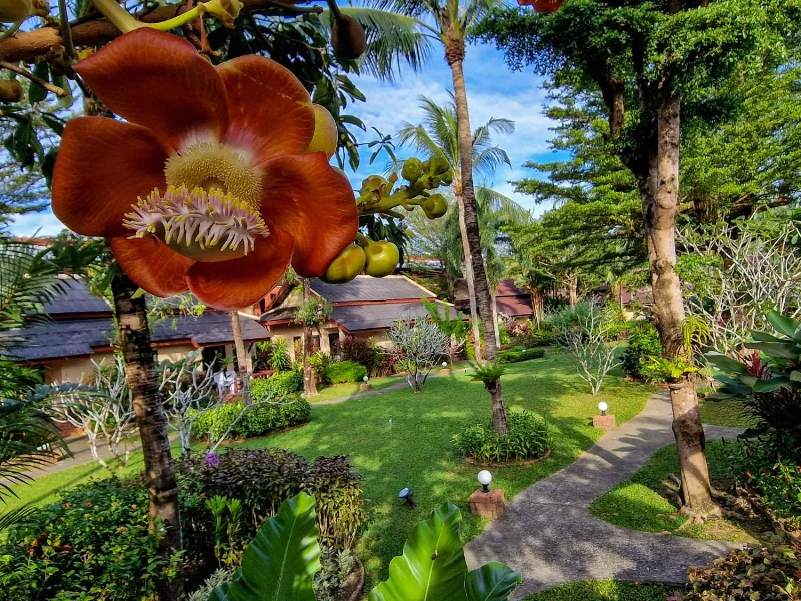 Jasmin Resort - SHA Plus