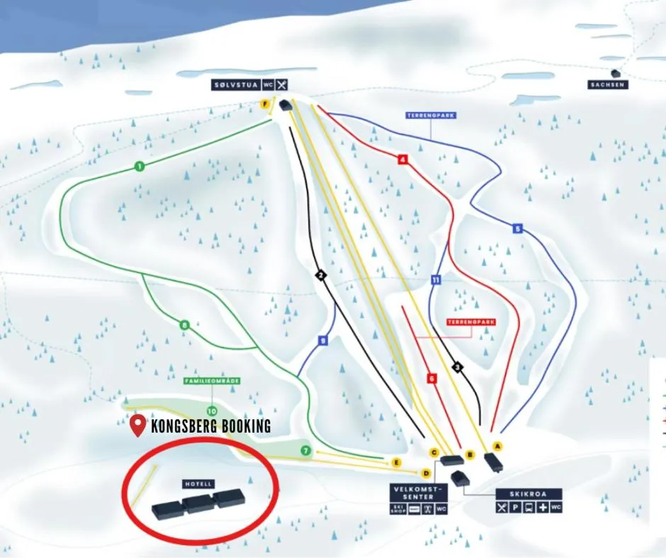 Skiing in Kongsberg Booking