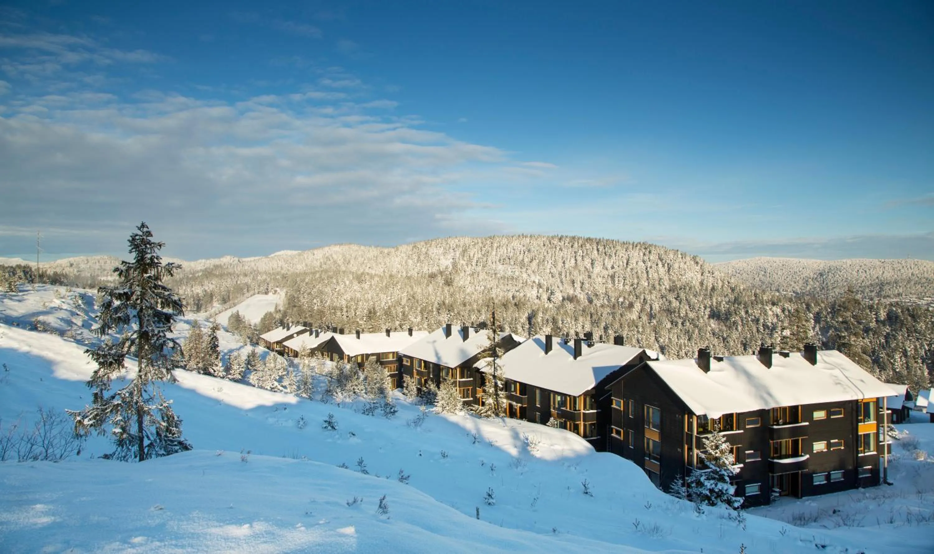 Property building in Kongsberg Booking
