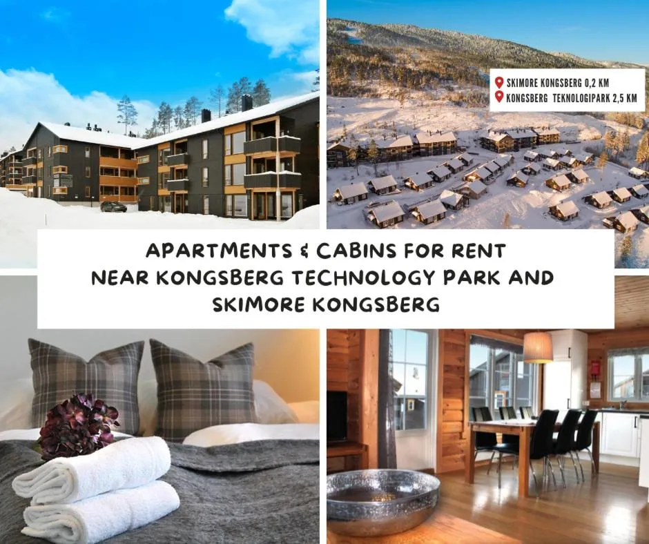 Property building in Kongsberg Booking