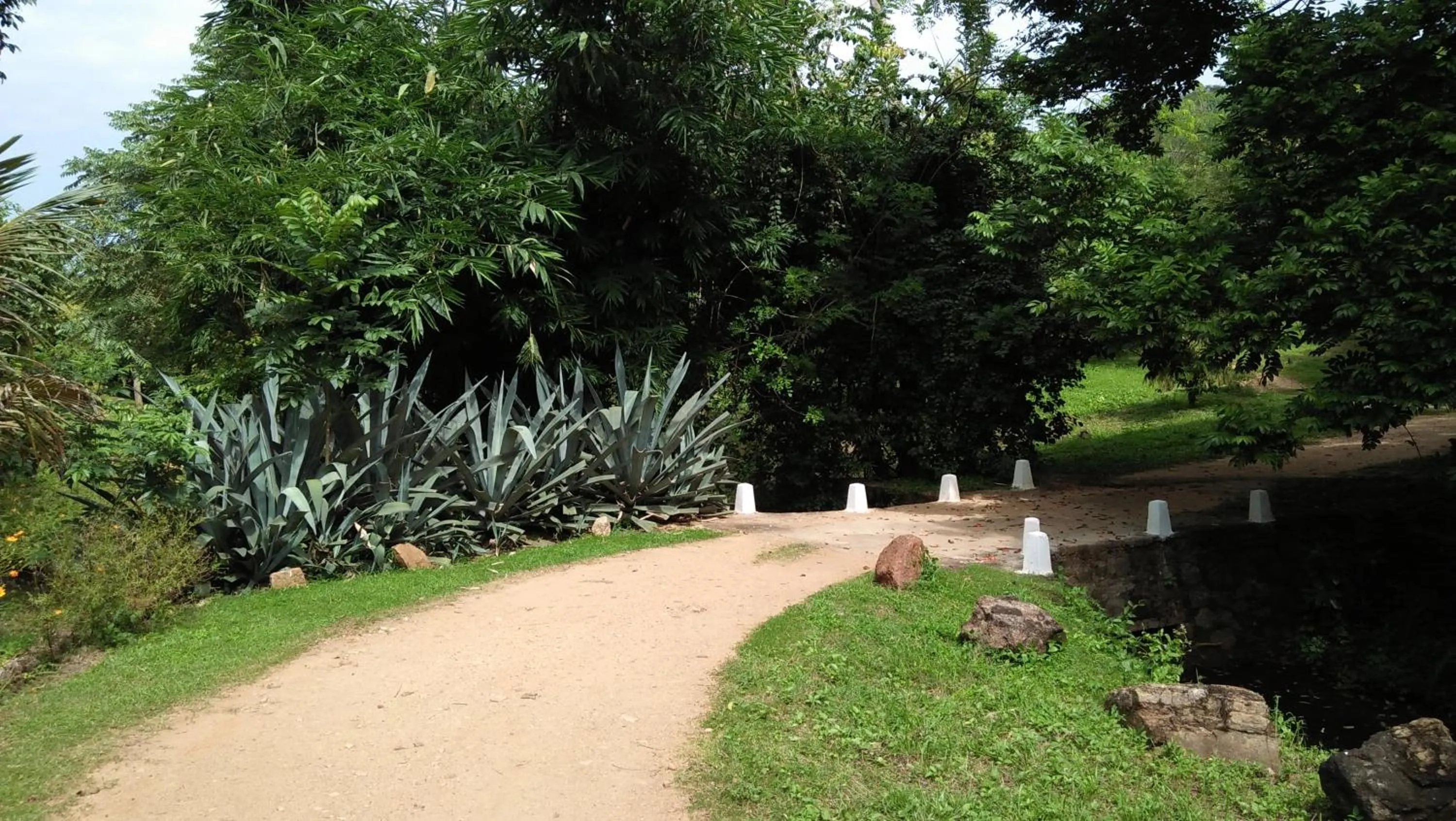 Garden view in Flamboyant Villas