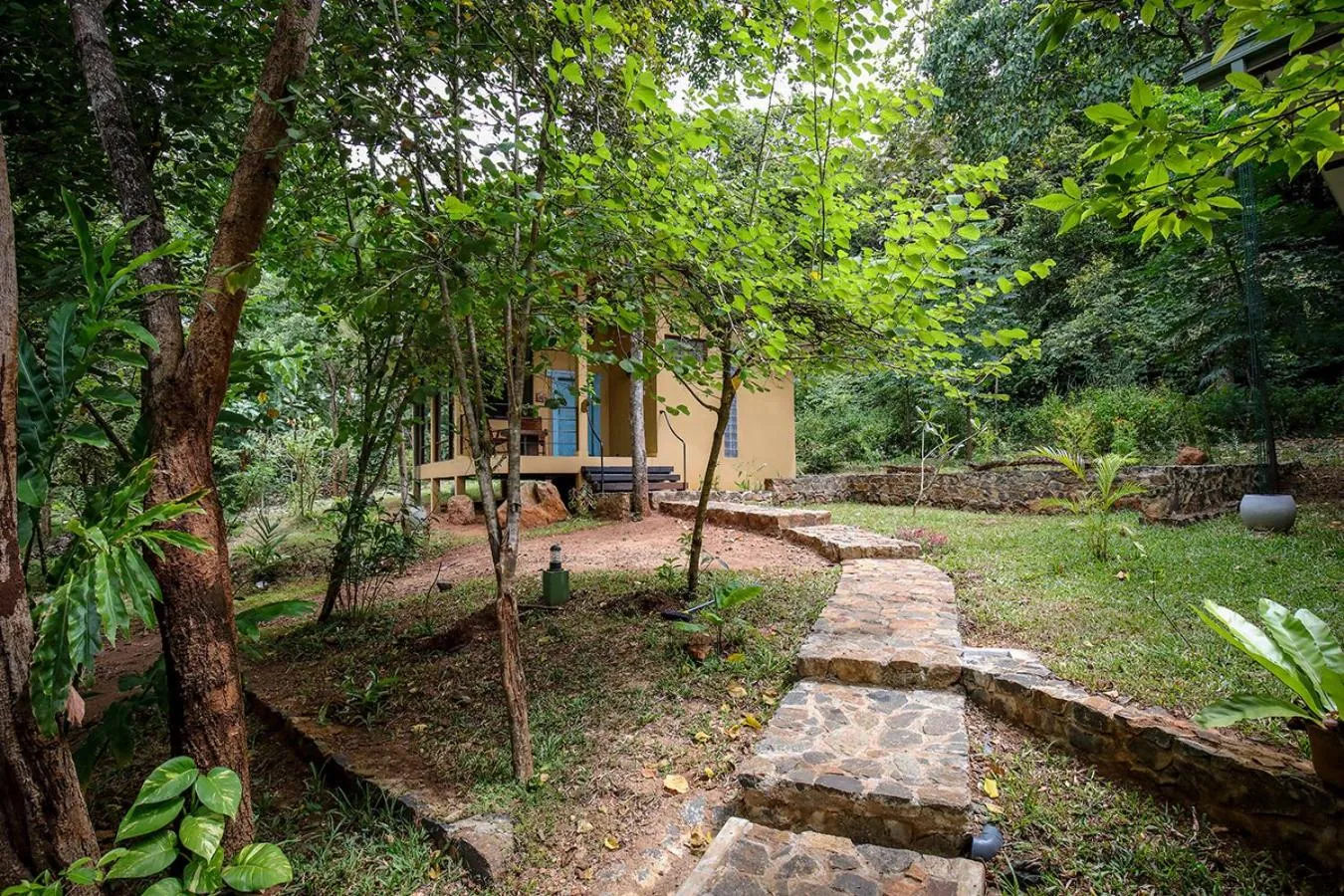 Garden in Flamboyant Villas