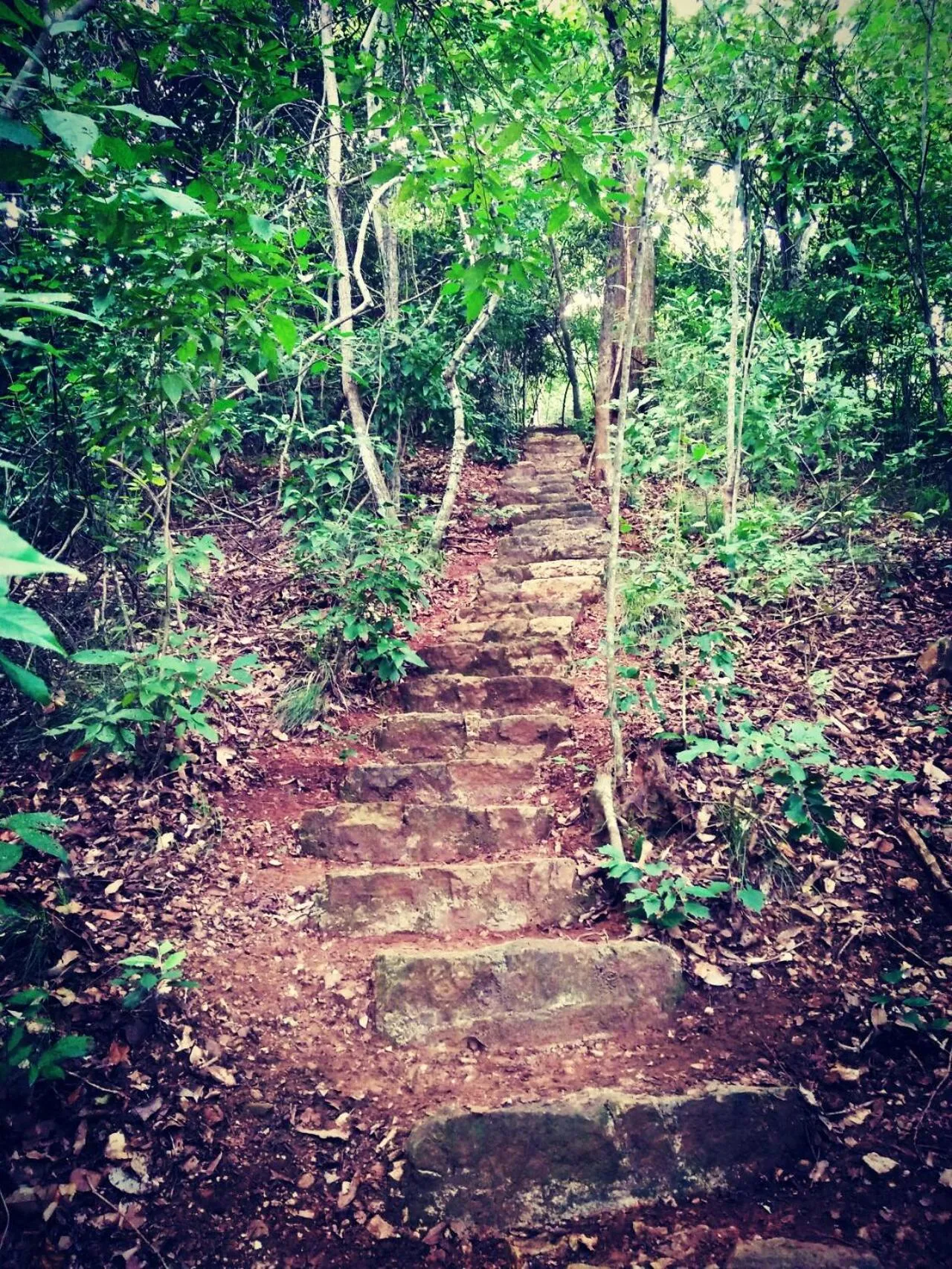 Hiking in Flamboyant Villas