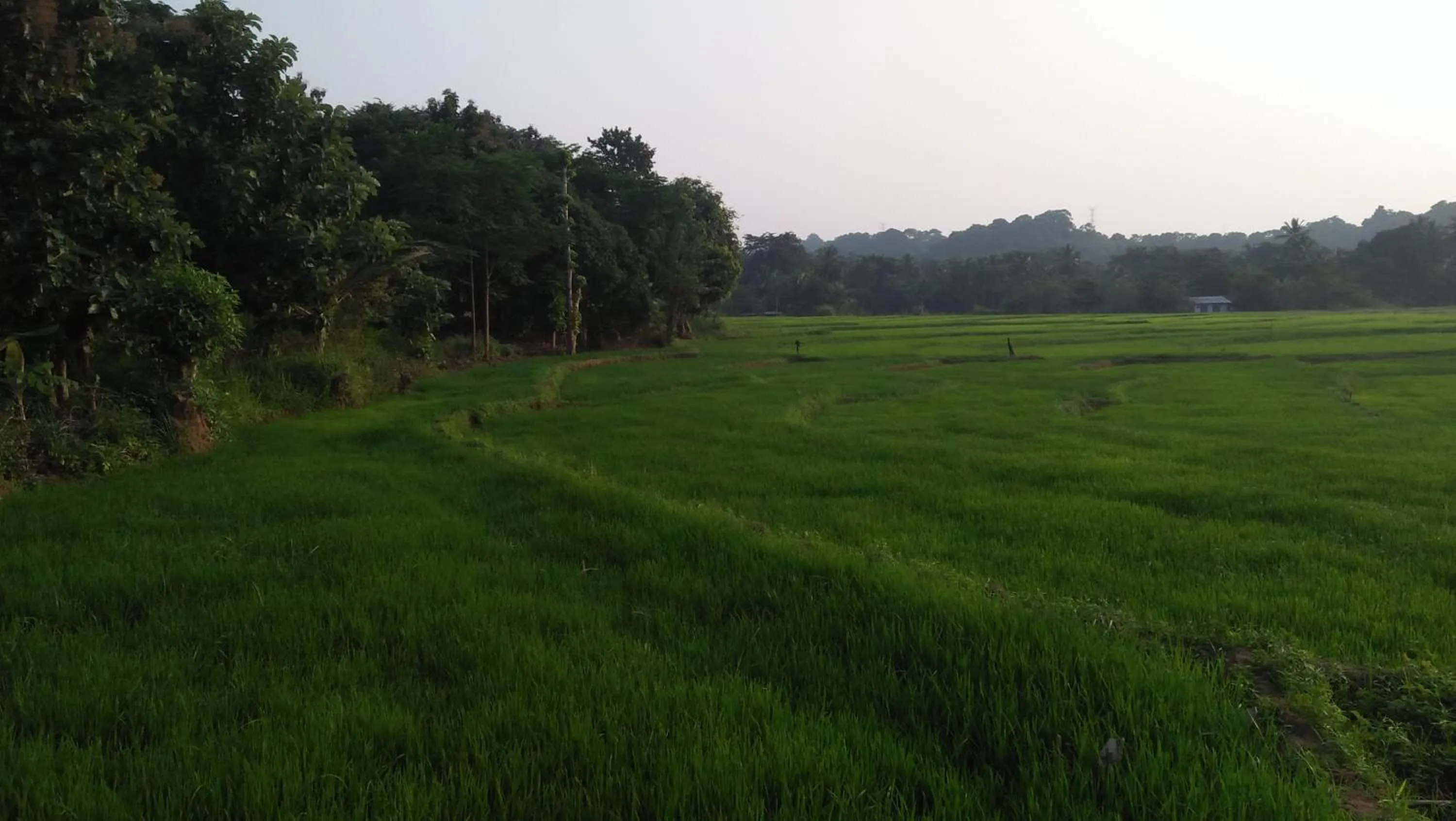 Neighbourhood in Flamboyant Villas