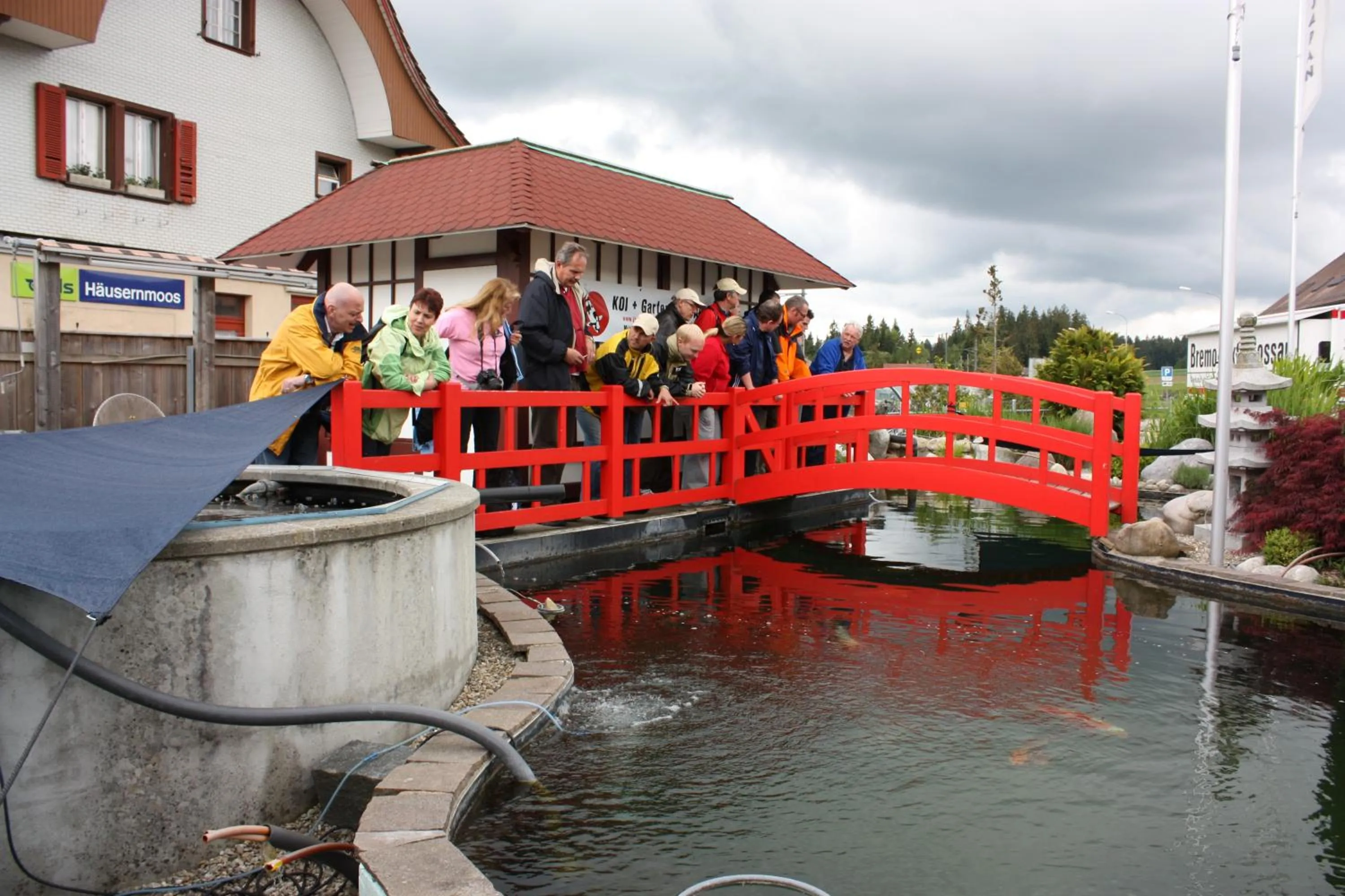 Garden view in Hotel Koi-Gartenteich