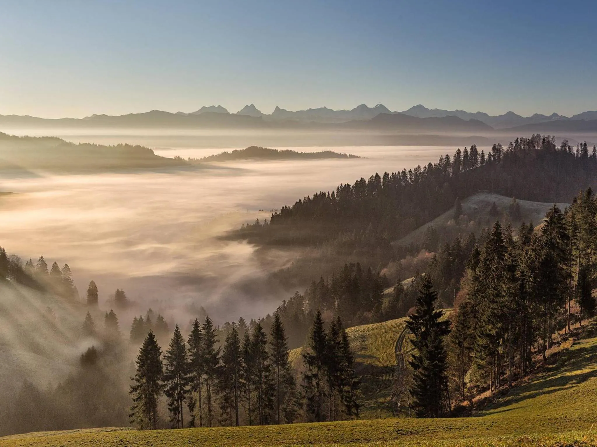 Nearby landmark in Hotel Koi-Gartenteich