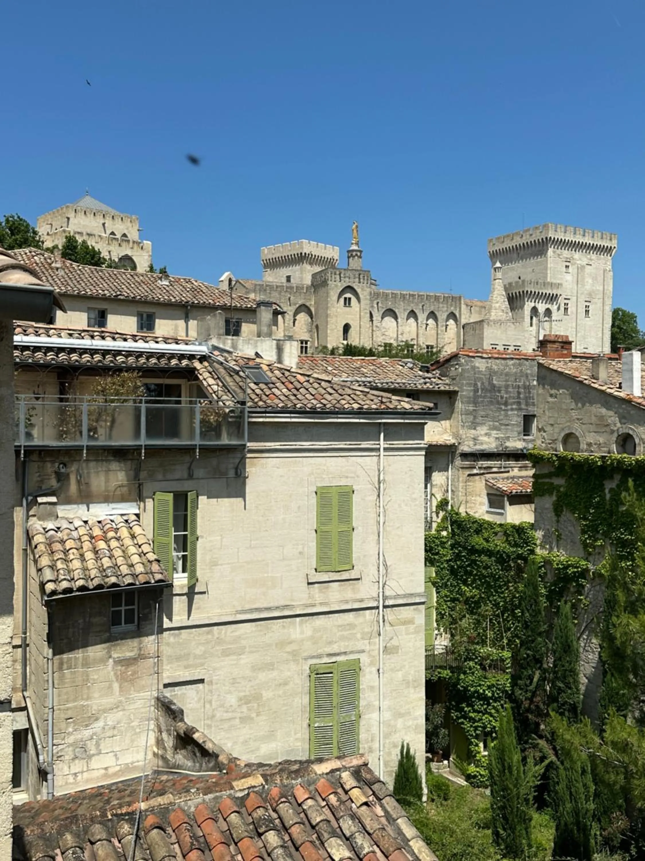 Landmark view in Hôtel Le Médiéval Palais des Papes