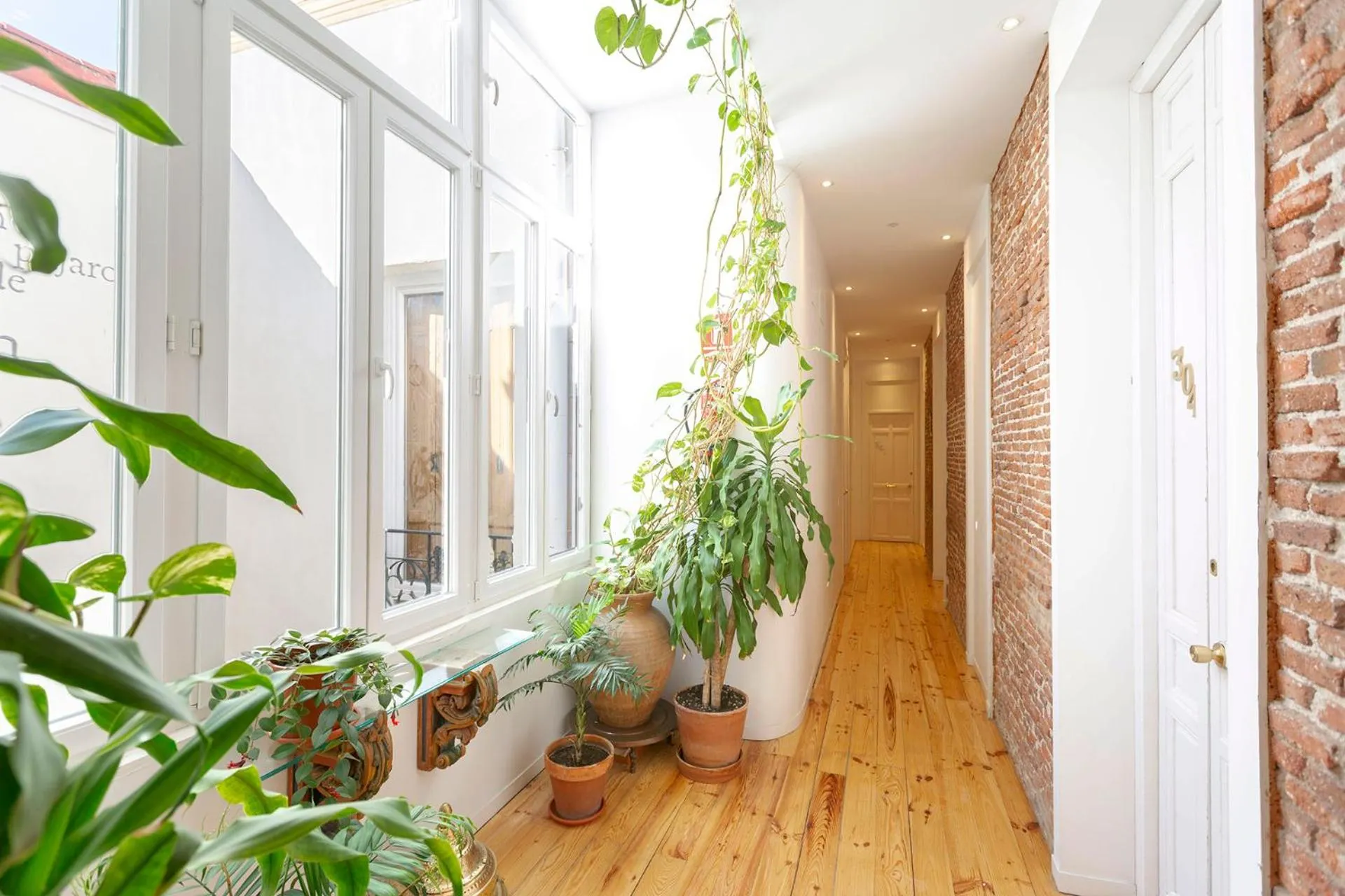 Apartamentos Matute 11