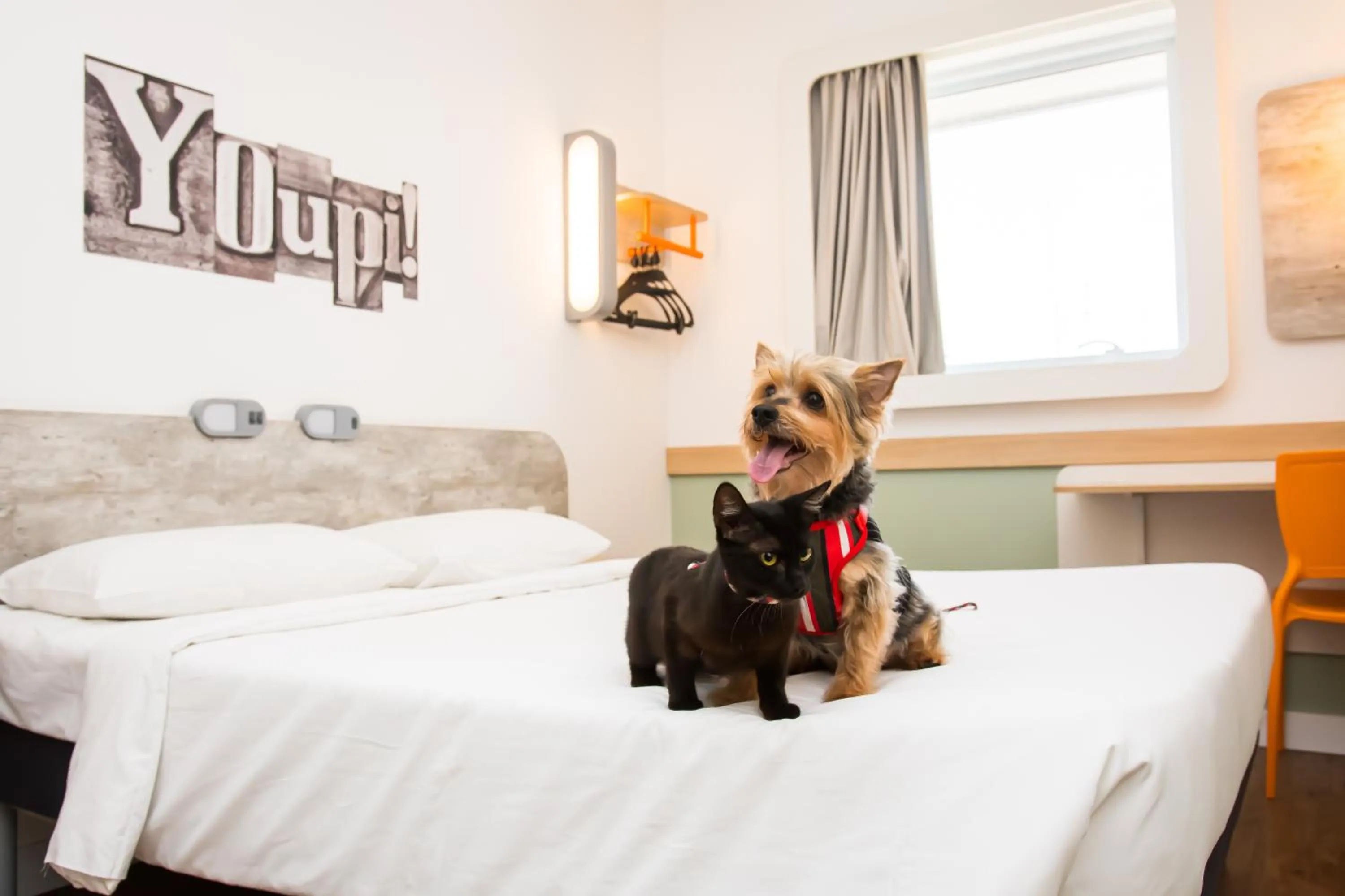 Pets, Bed in ibis budget Campinas Aquidaban