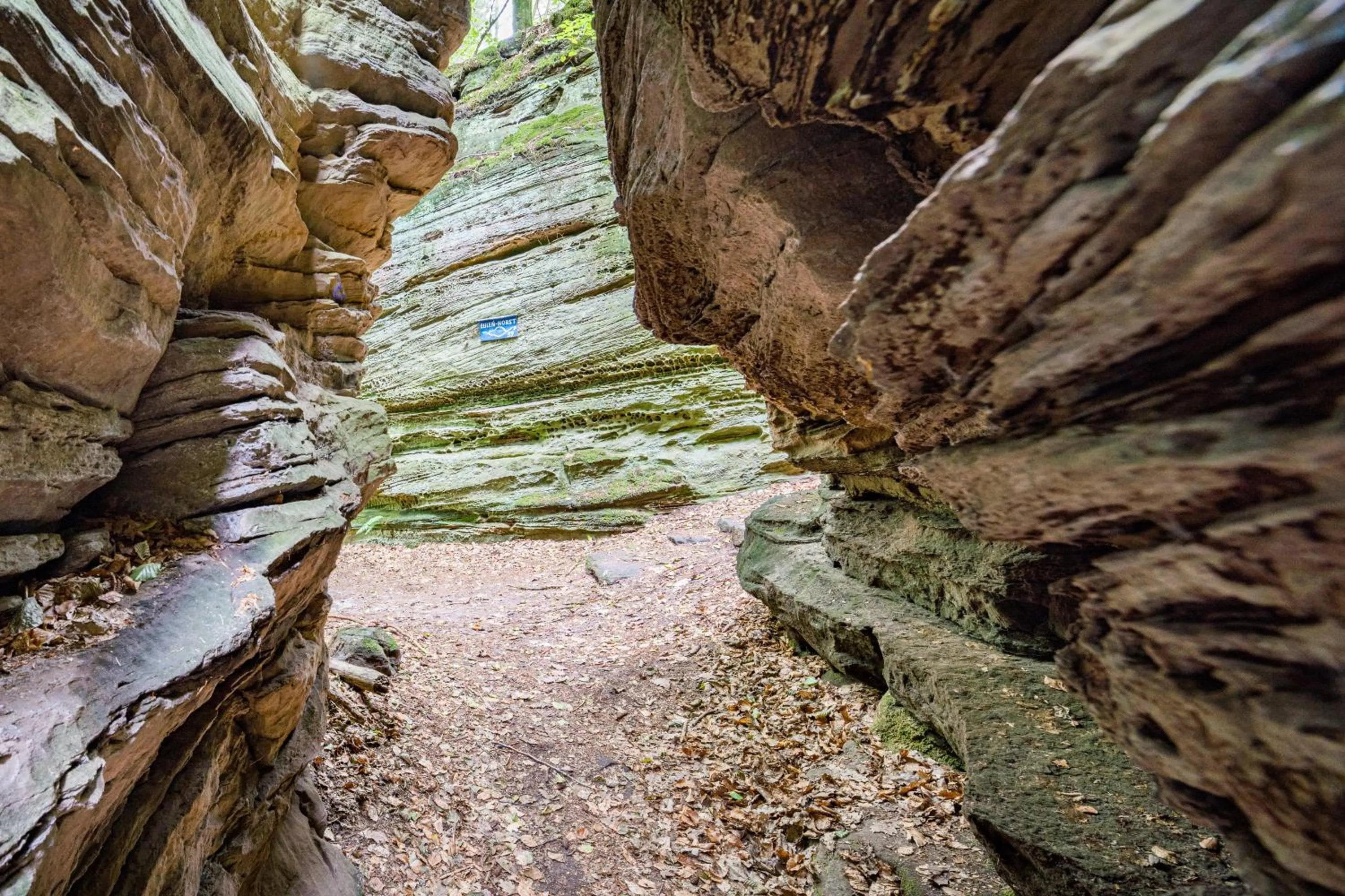 Natural landscape in Waldhotel Sonnenberg