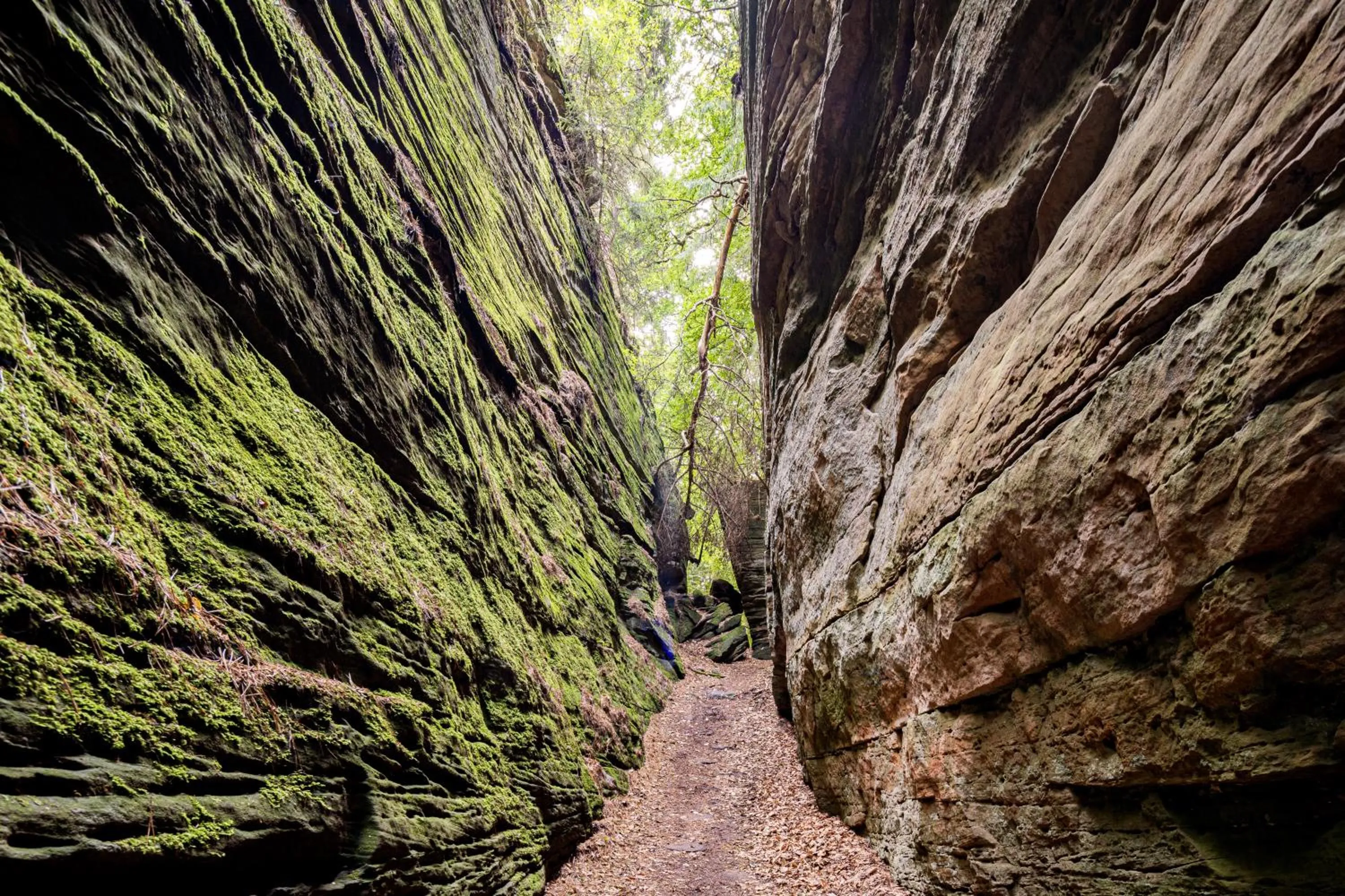 Natural landscape in Waldhotel Sonnenberg