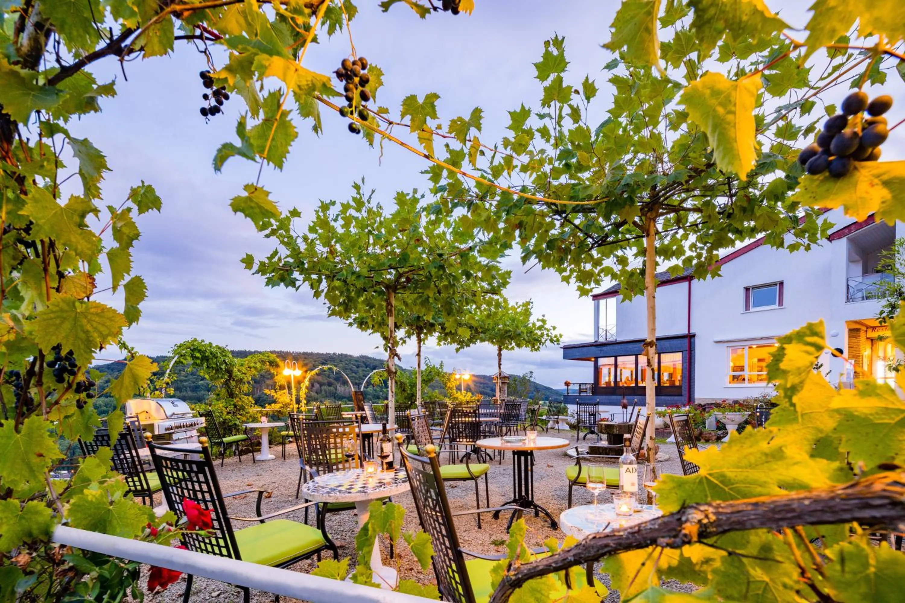 Garden in Waldhotel Sonnenberg