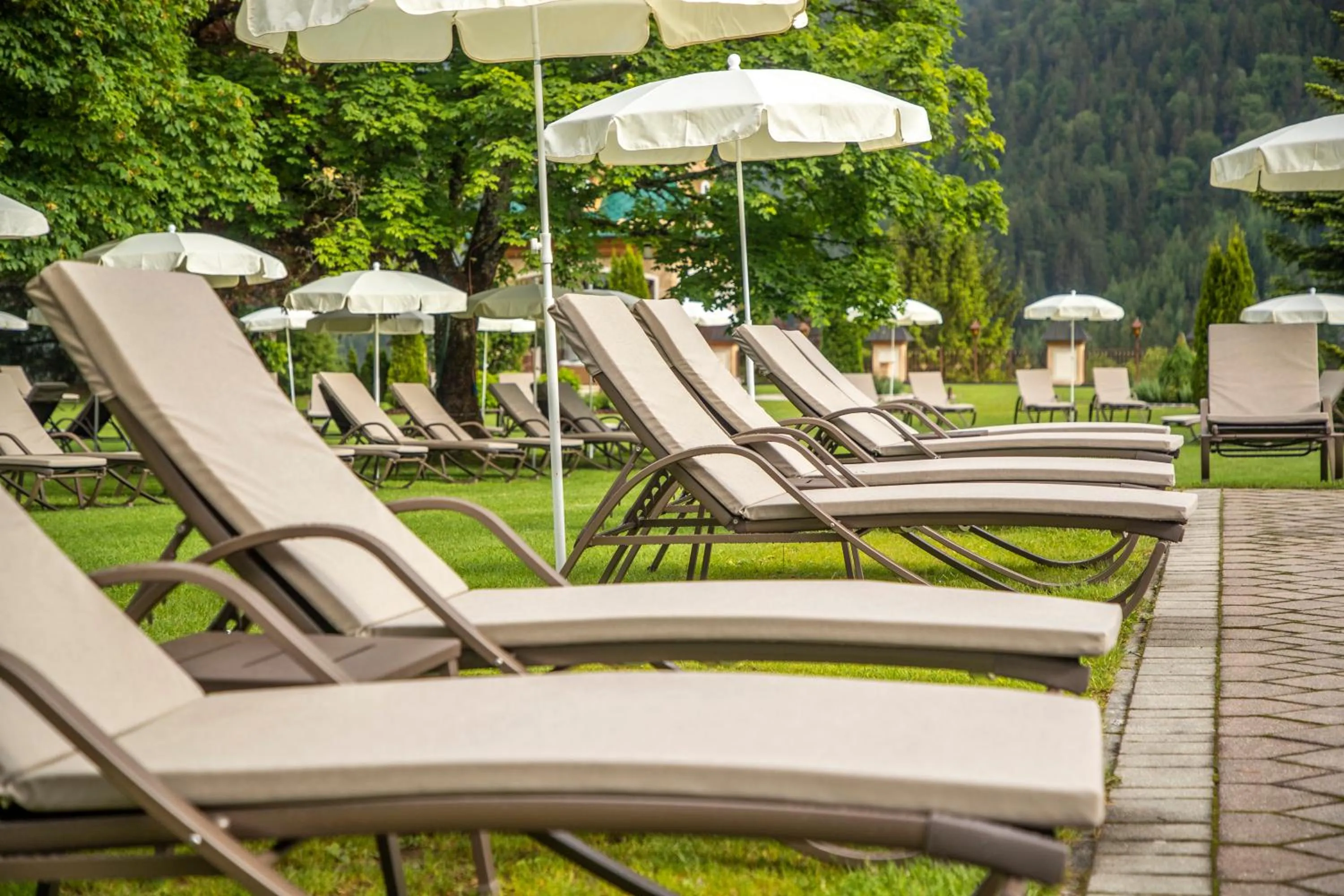 Swimming pool in Der Lärchenhof