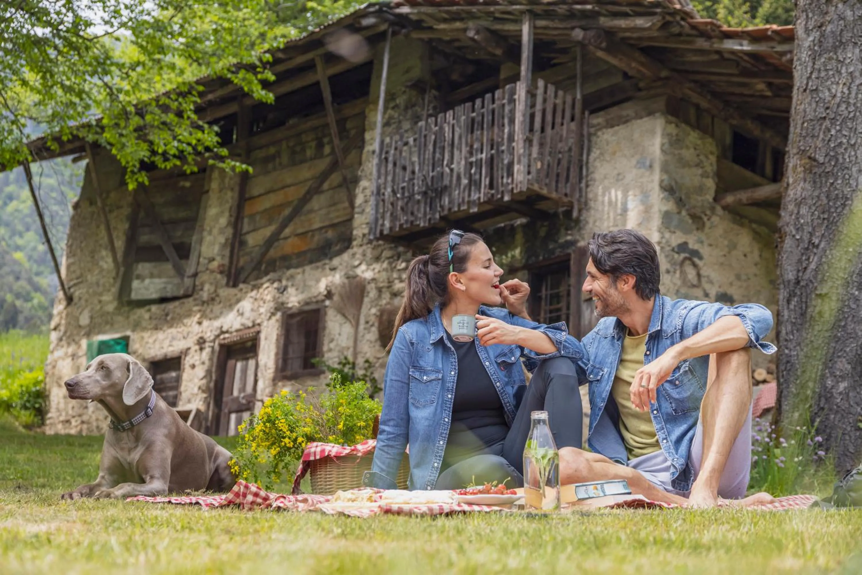 Natural landscape in LMC Guesthouse