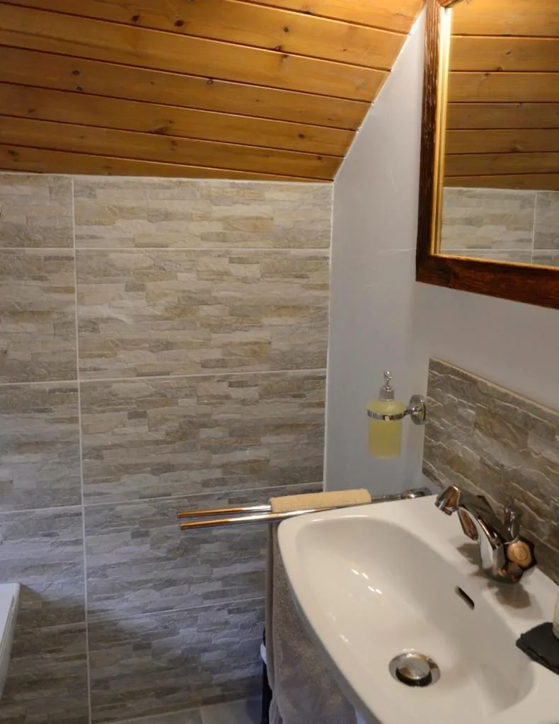 Toilet in Hôtel Dents de Veisivi