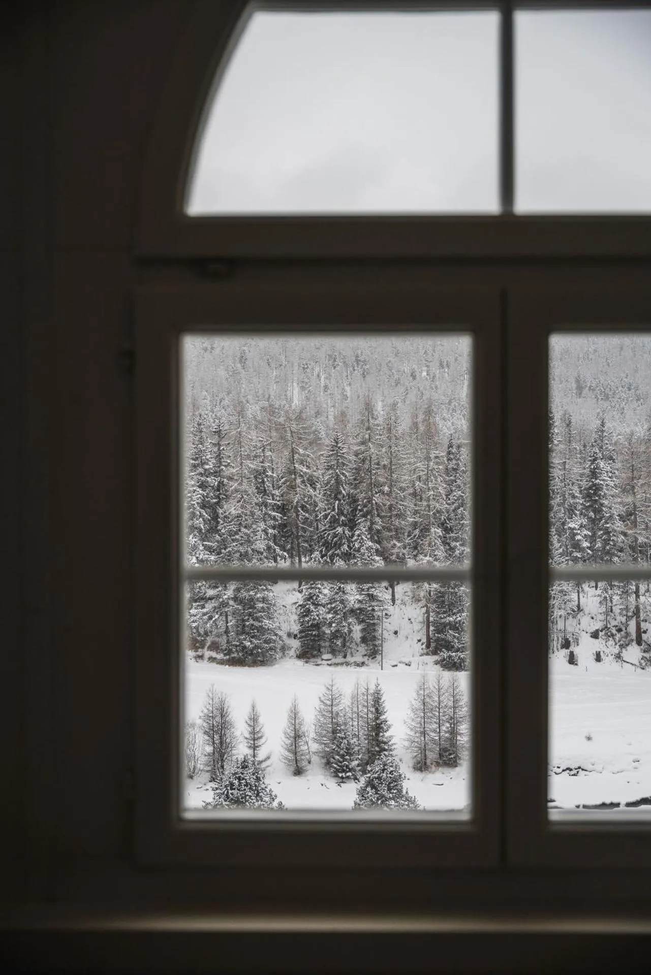 Natural landscape in Schloss Hotel & Spa Pontresina