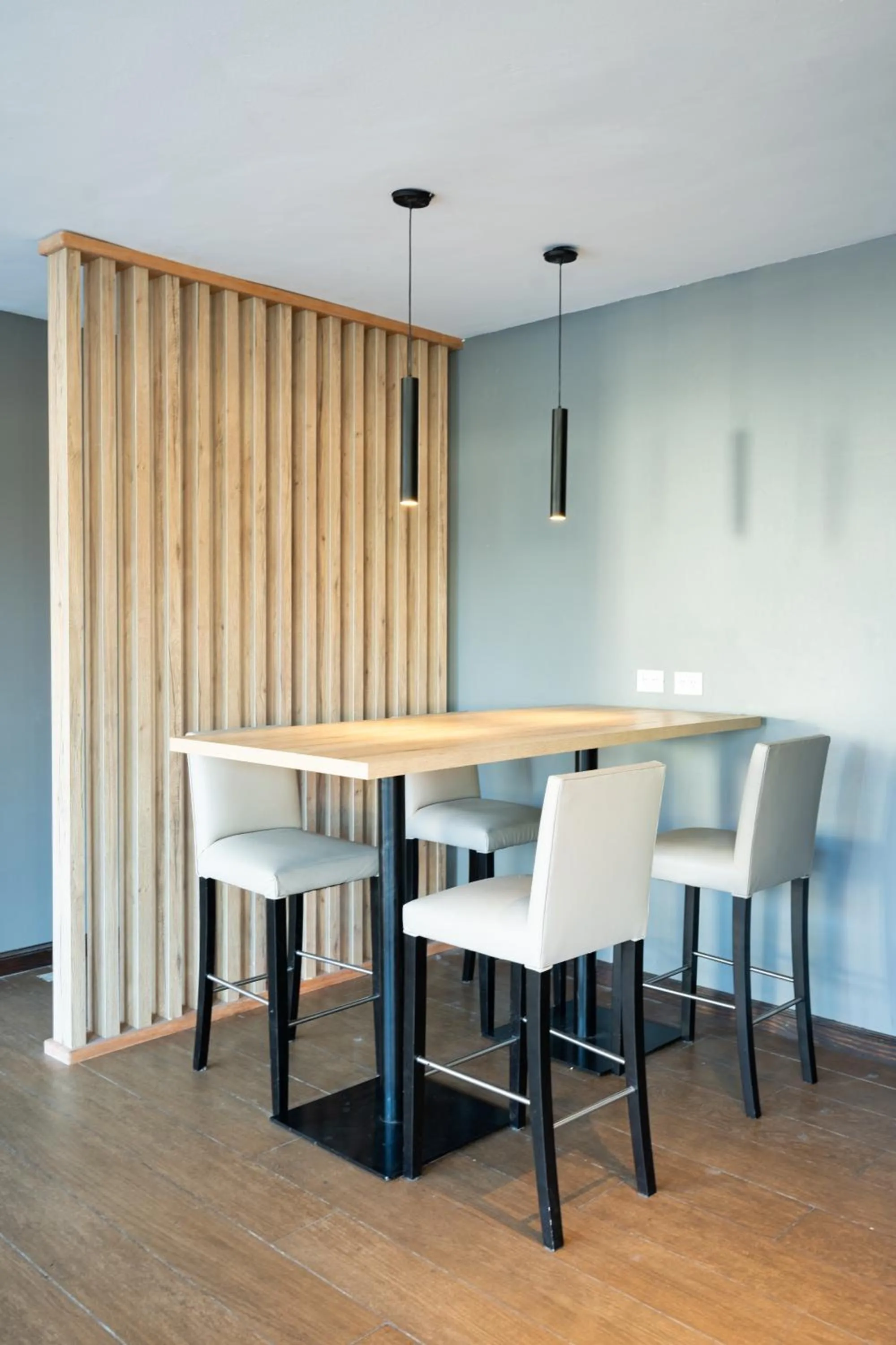 Living room in Lagos Andinos