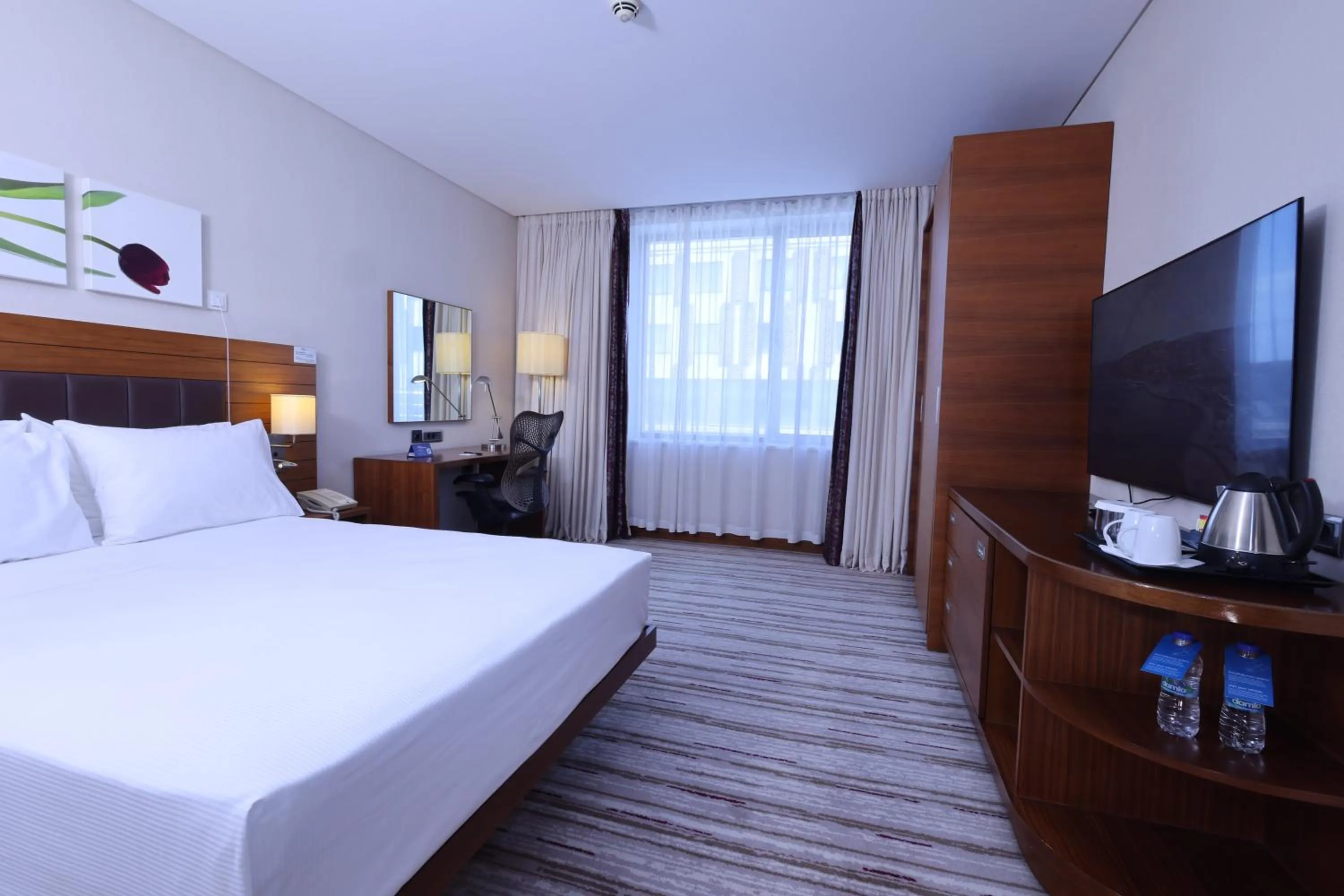 TV and multimedia, Bed in Hilton Garden Inn Konya