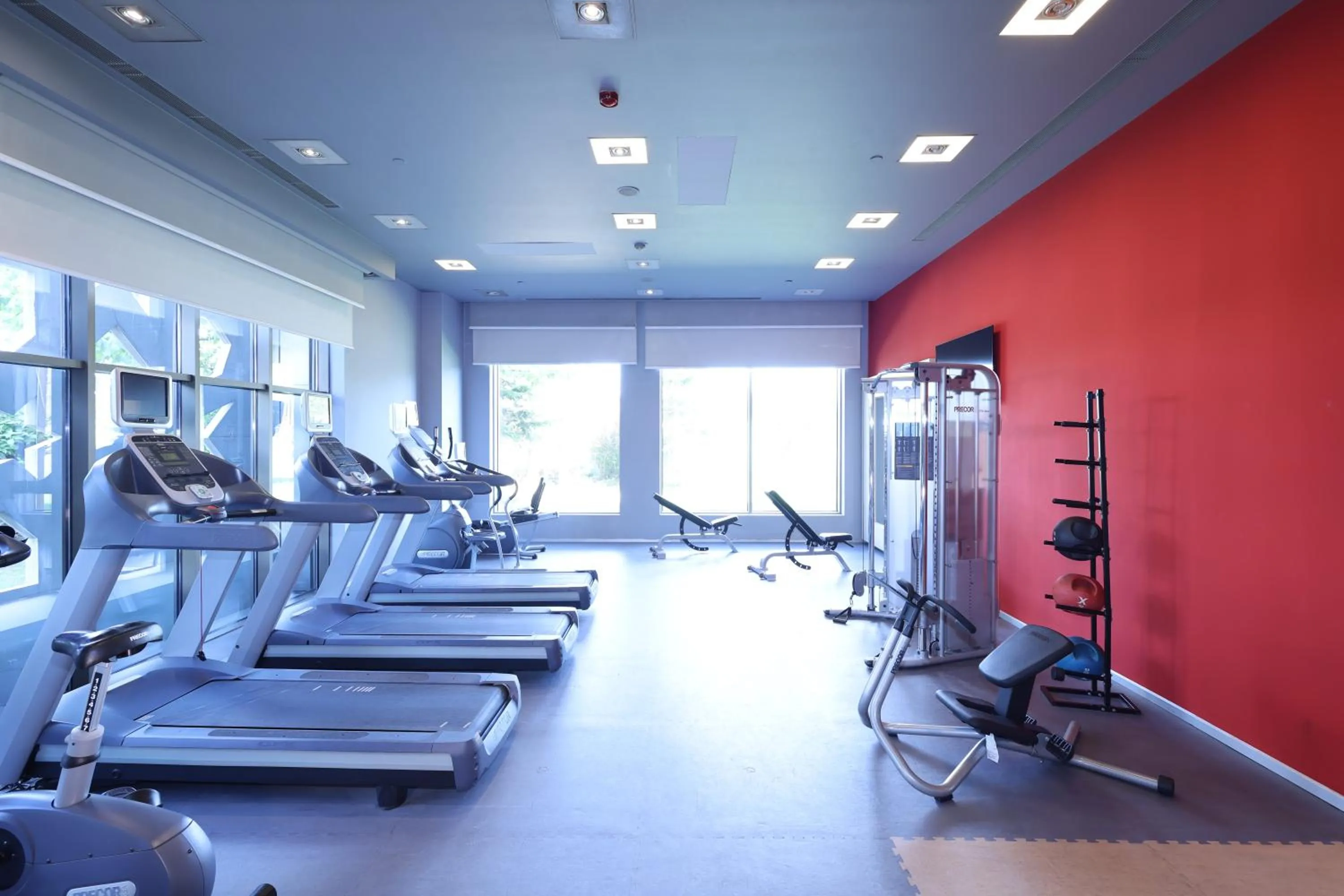 Fitness centre/facilities in Hilton Garden Inn Konya