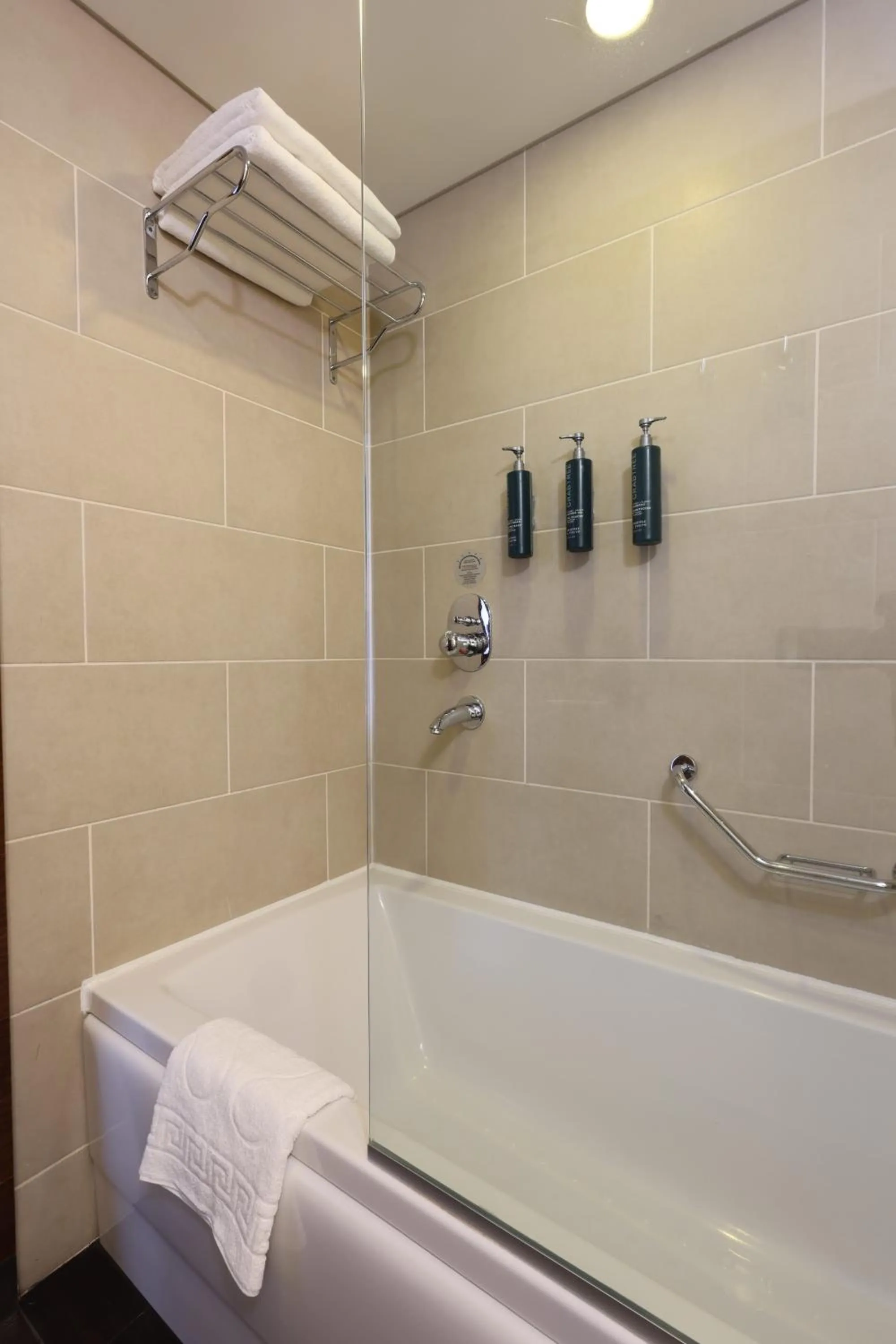 Bathroom in Hilton Garden Inn Konya