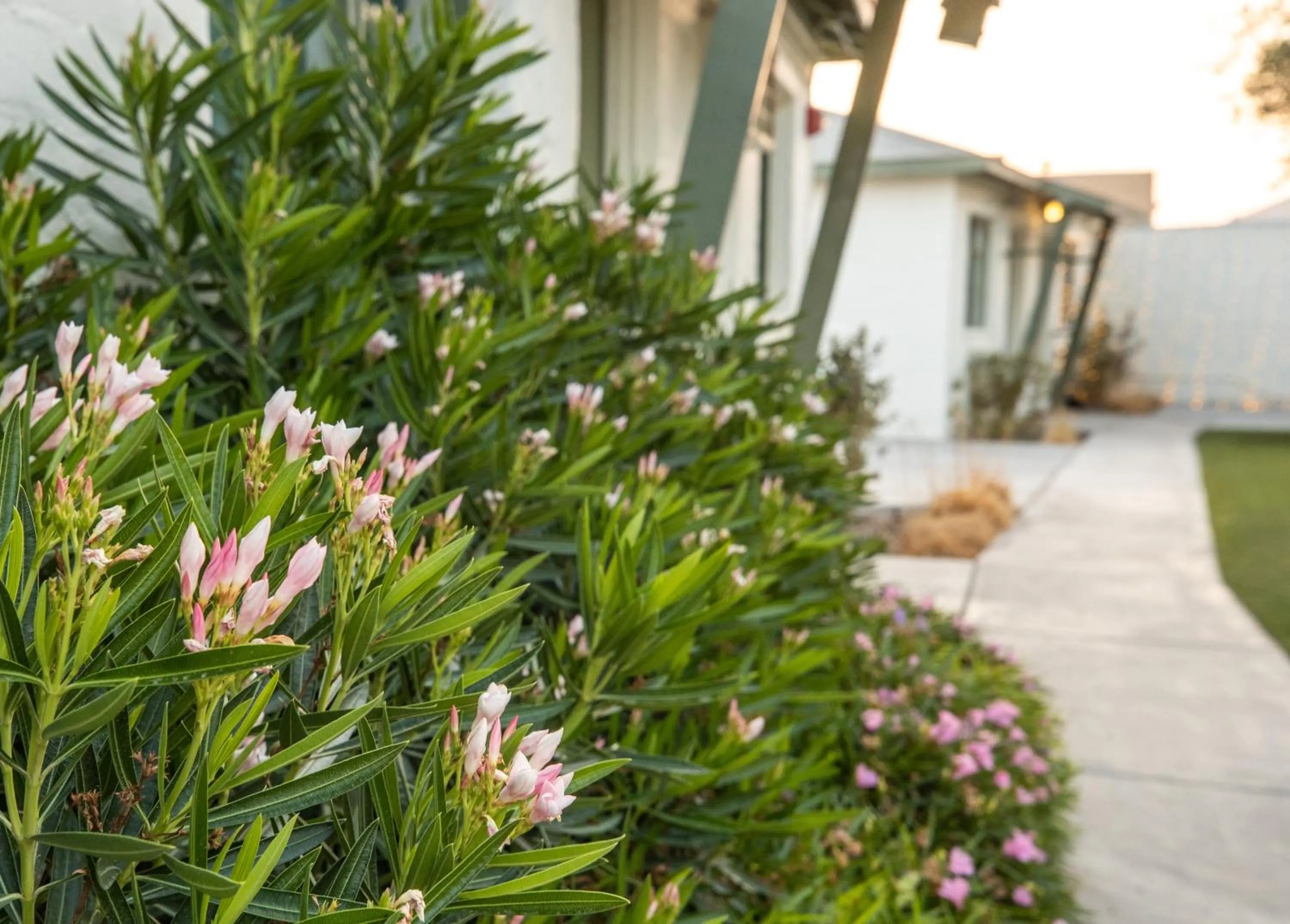 Patio in Bungalows Hostel
