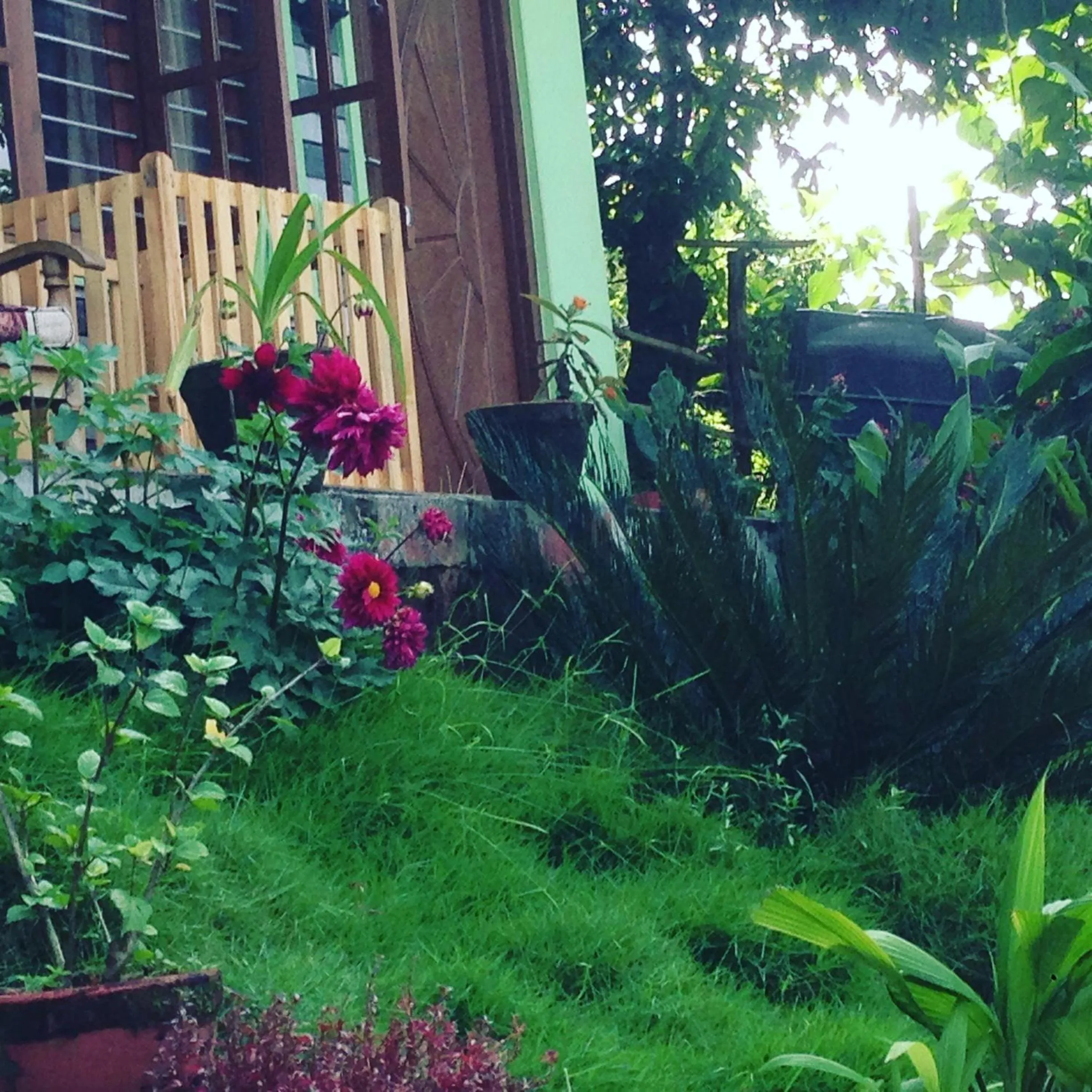 Sweet Dreams Guest house