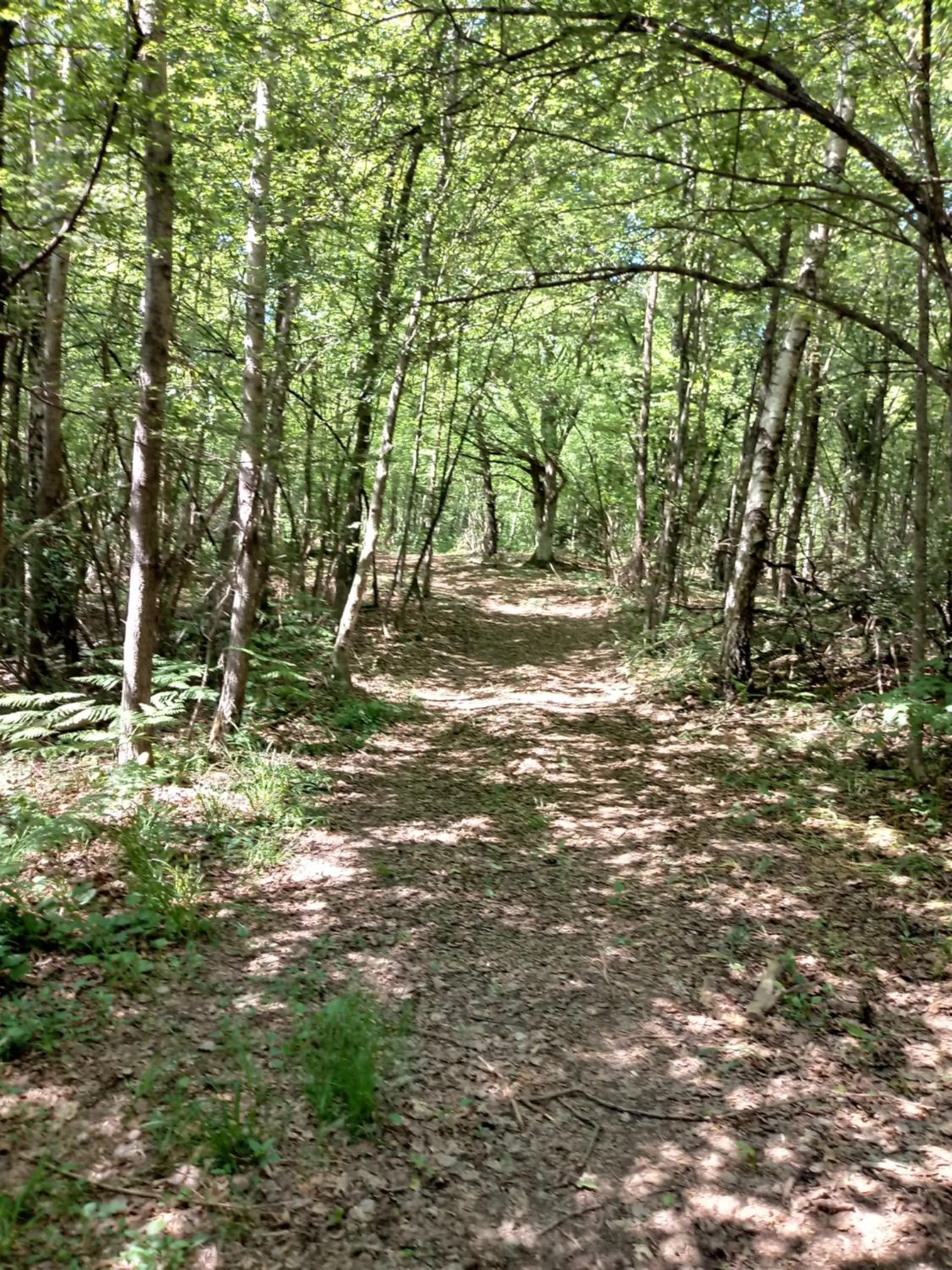 Hiking in Bed&Breakfast Zilje