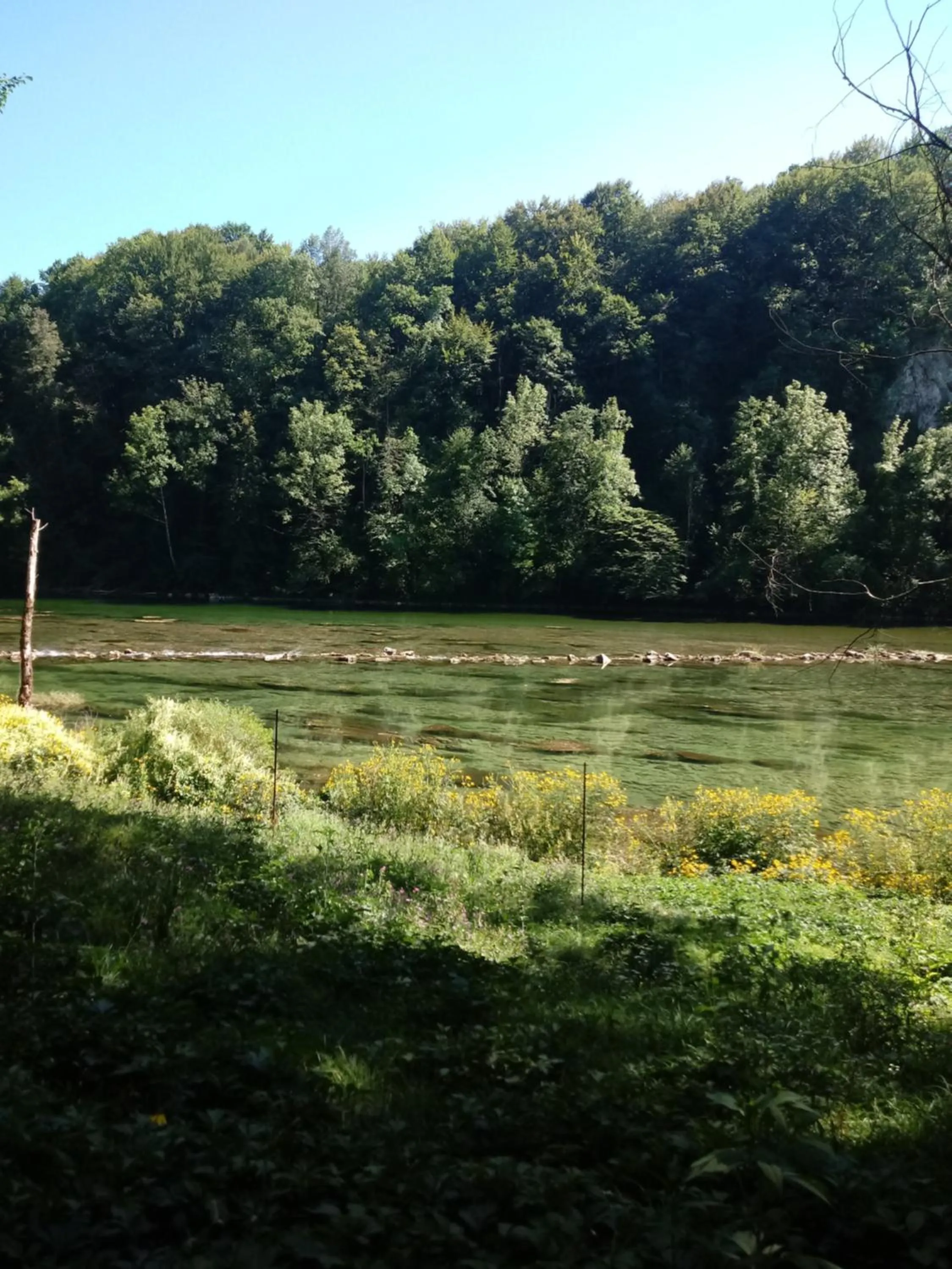 Natural landscape in Bed&Breakfast Zilje
