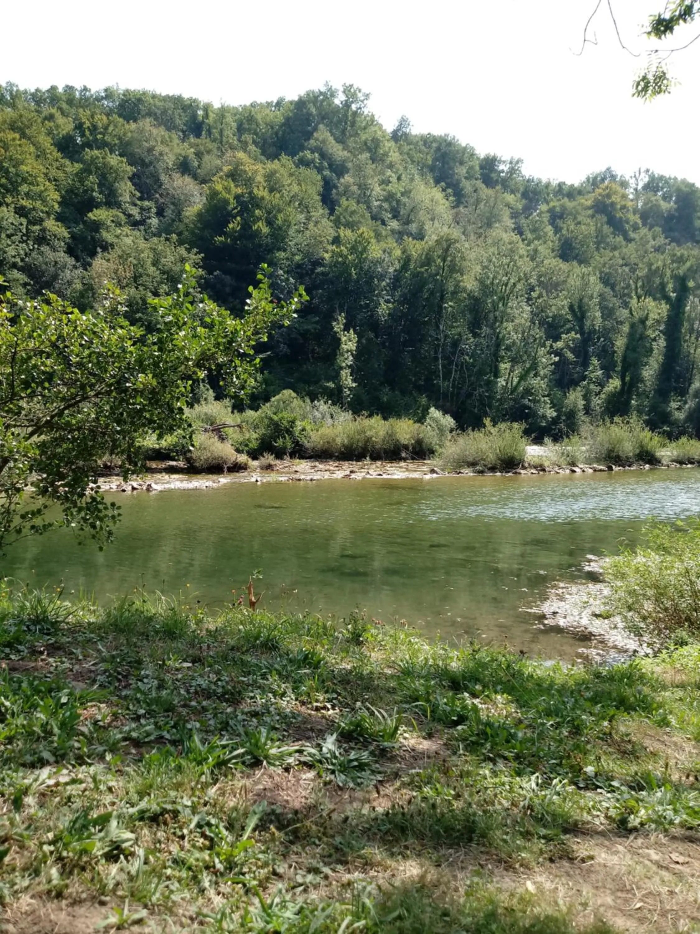 Fishing in Bed&Breakfast Zilje